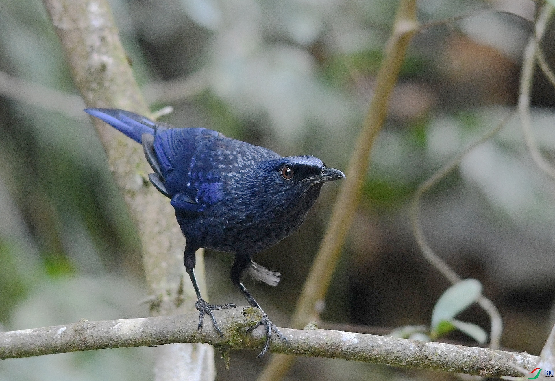 DSC_8161.jpg