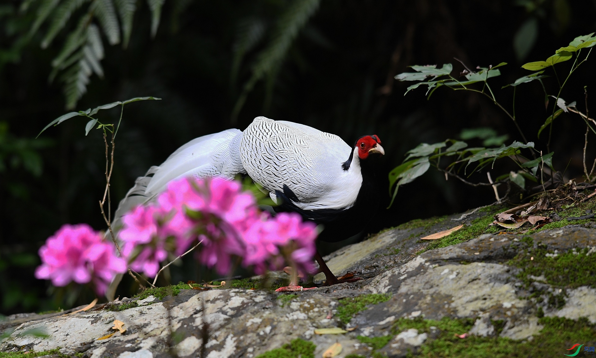 DSC_9629.jpg