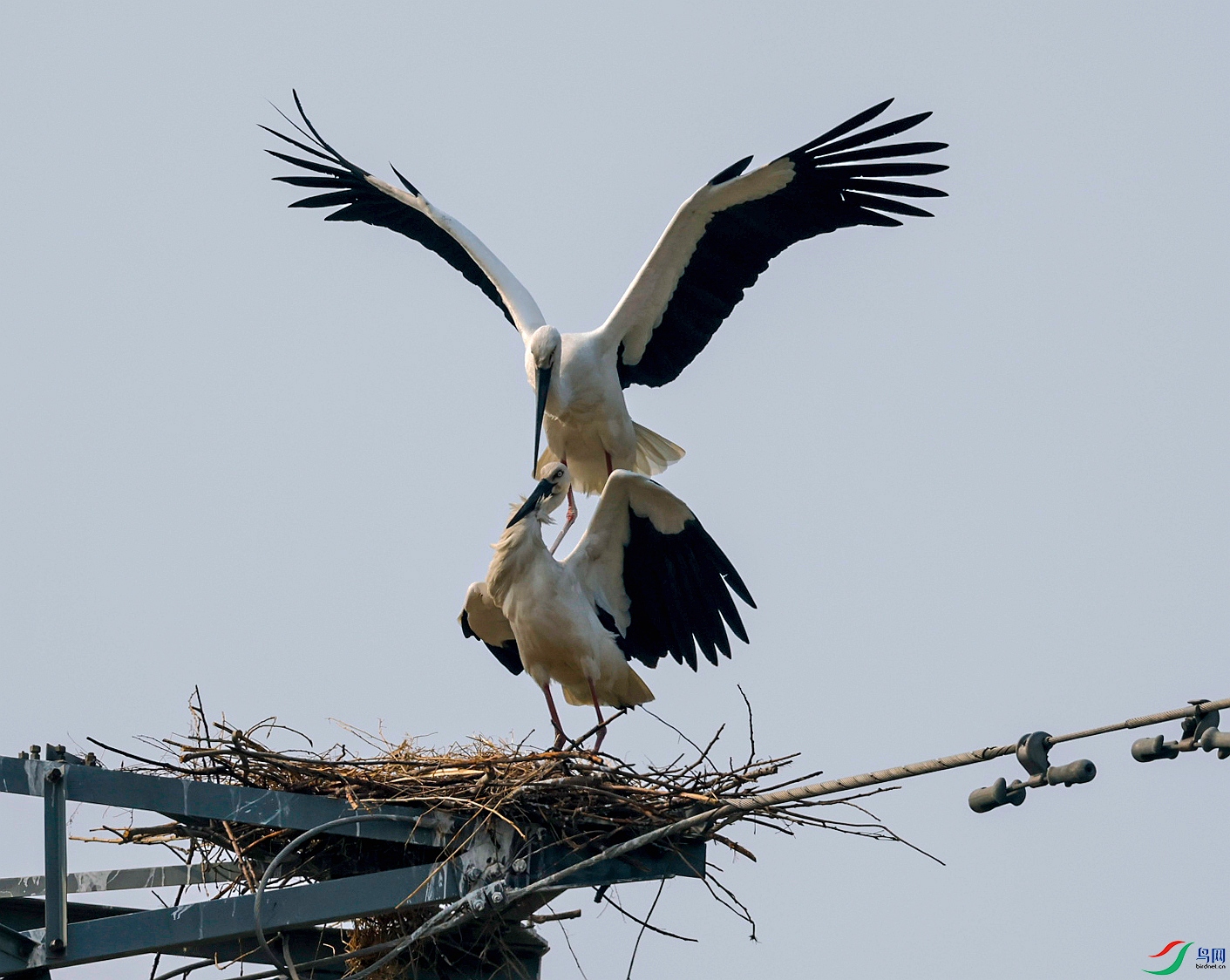 _05A1157 ����_����.jpg