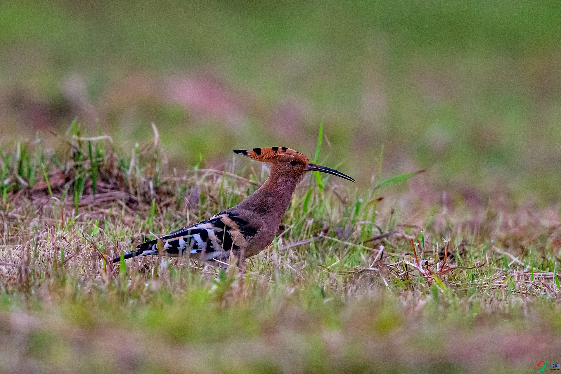 _AUU0165 ��ʤ(25.9.22).jpg