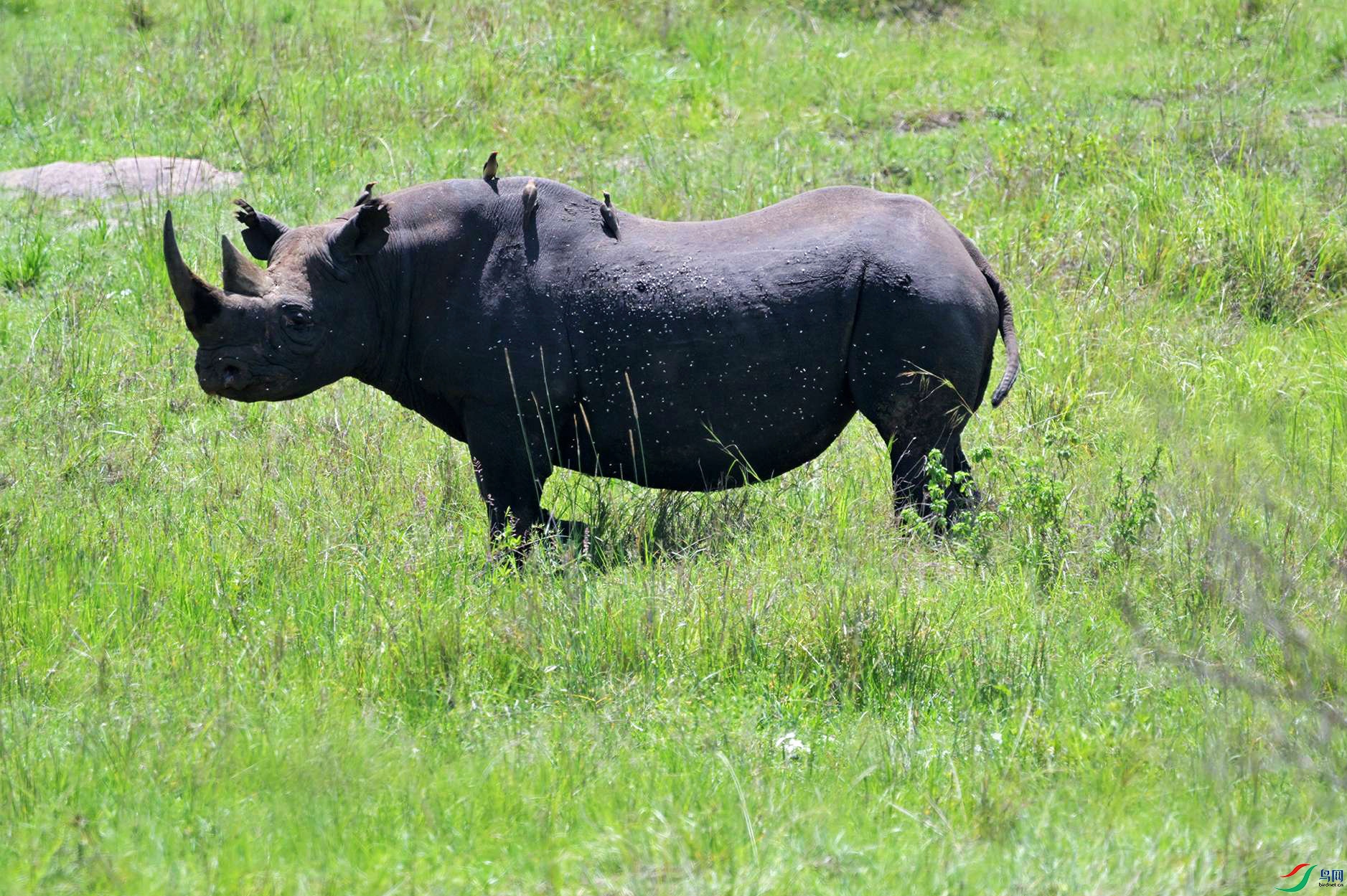 DSC_6038_.jpg