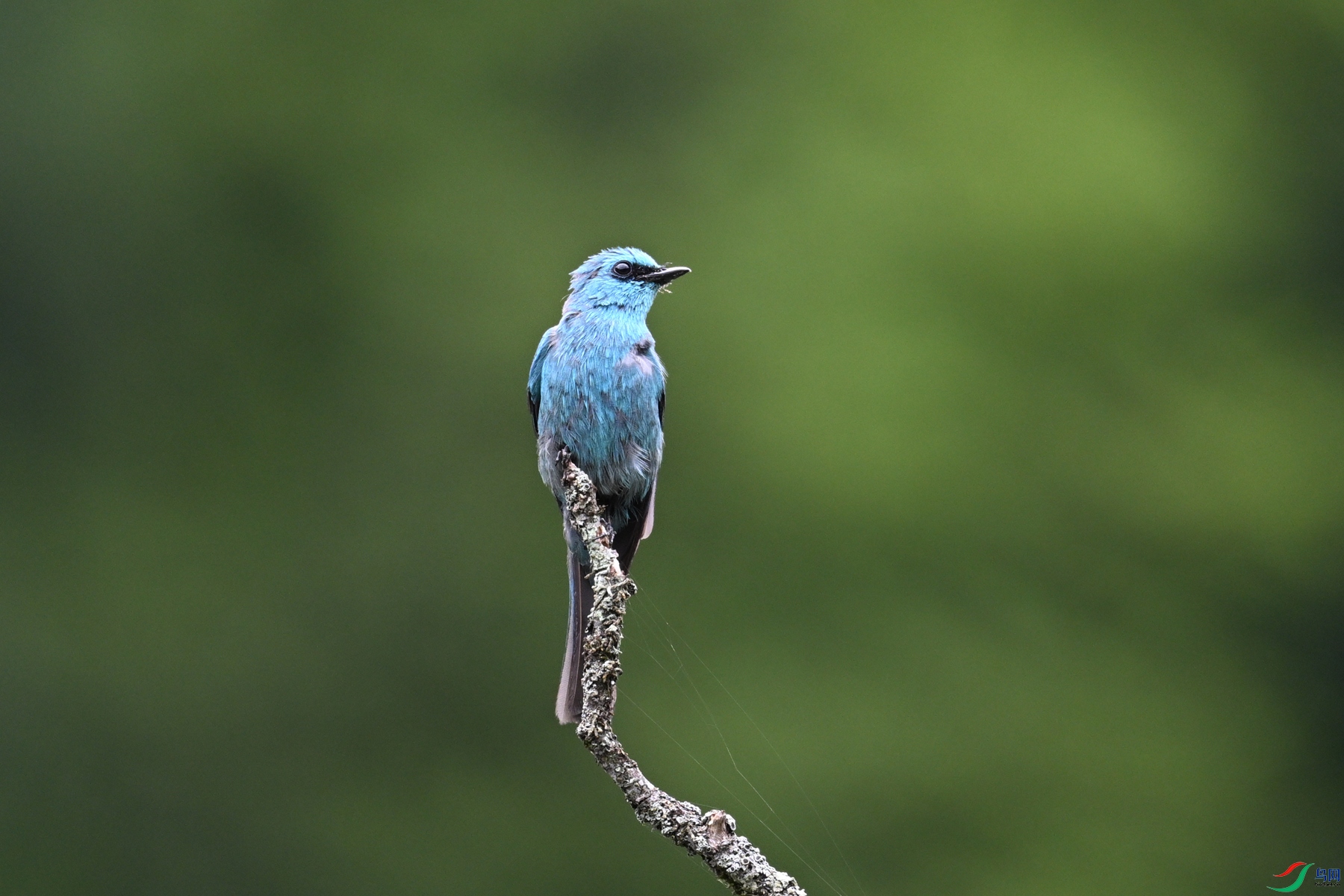 DSC_3239.JPG
