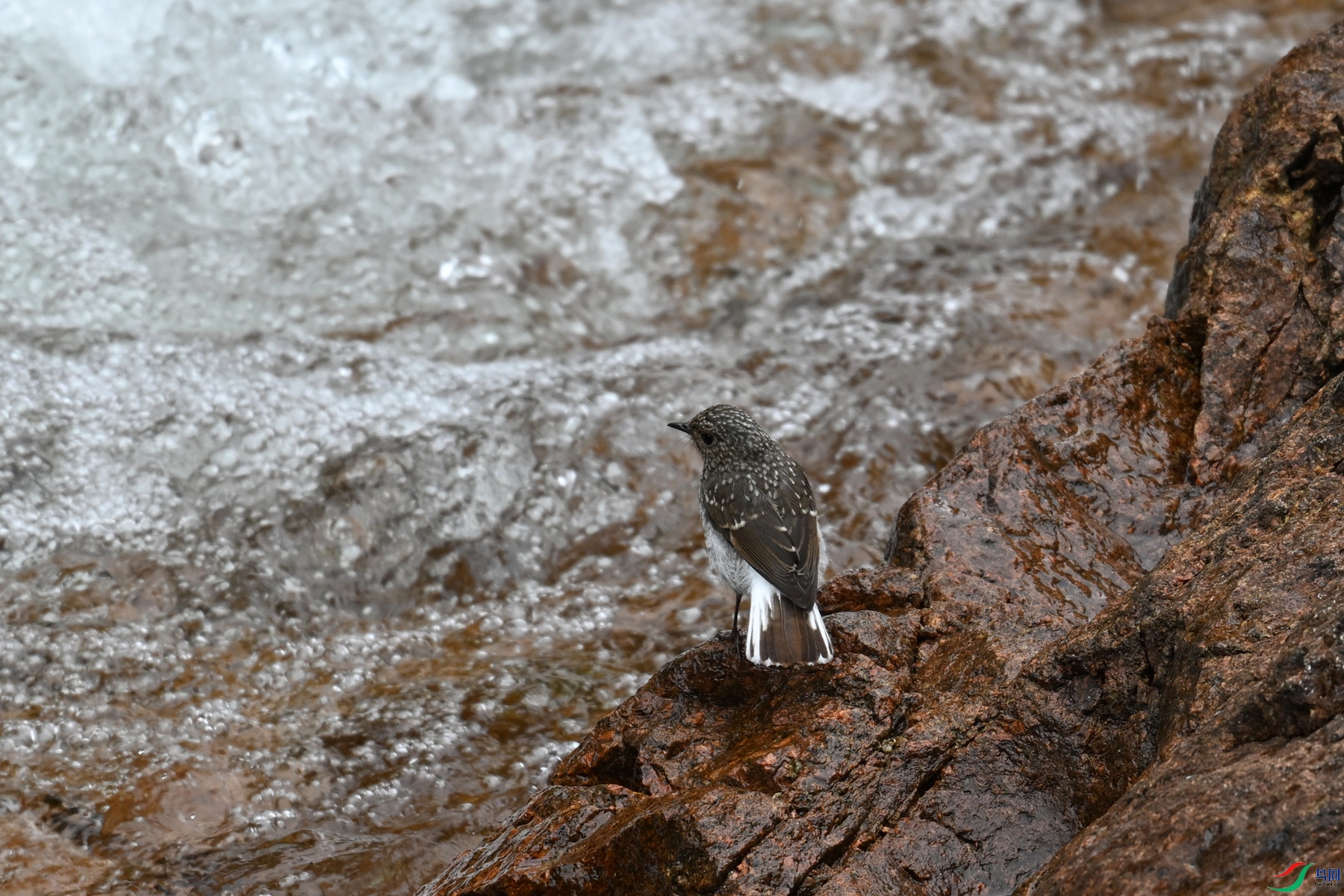 DSC_3262.JPG