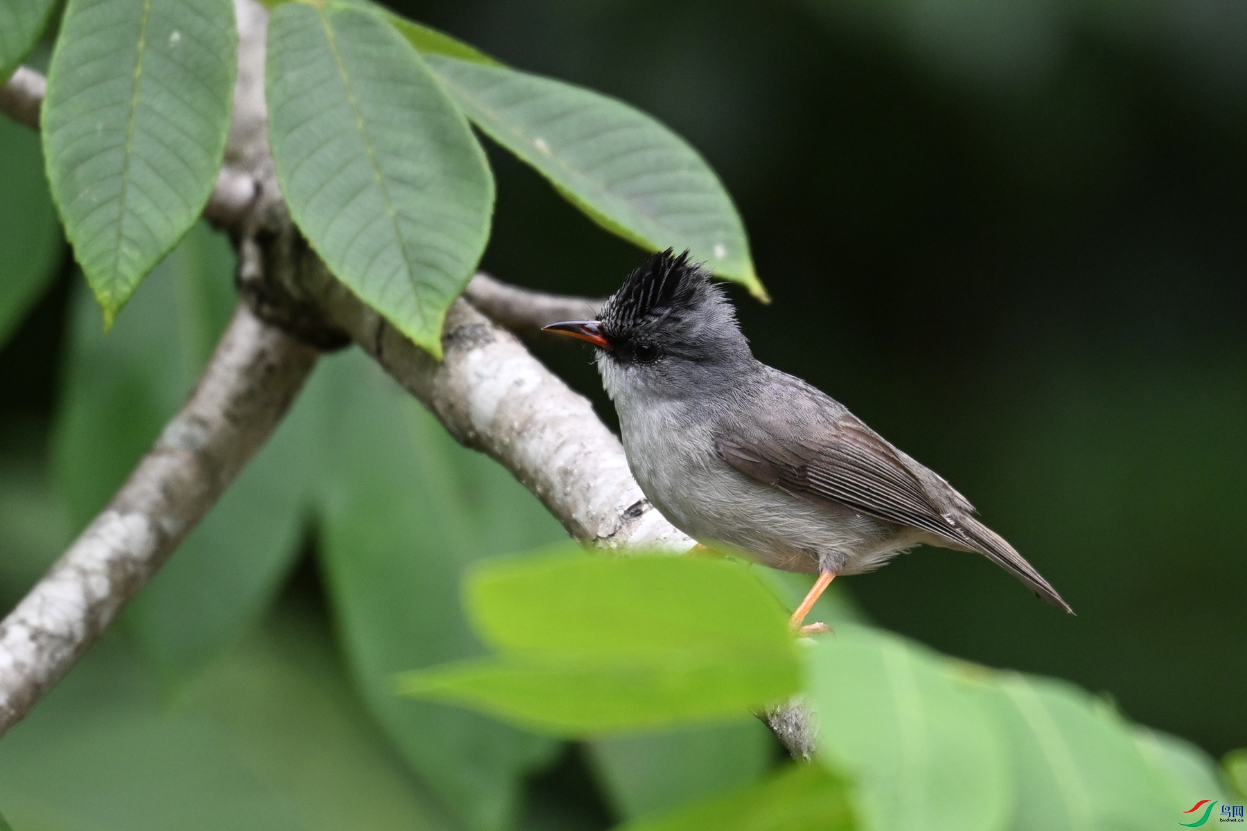 DSC_3304.JPG
