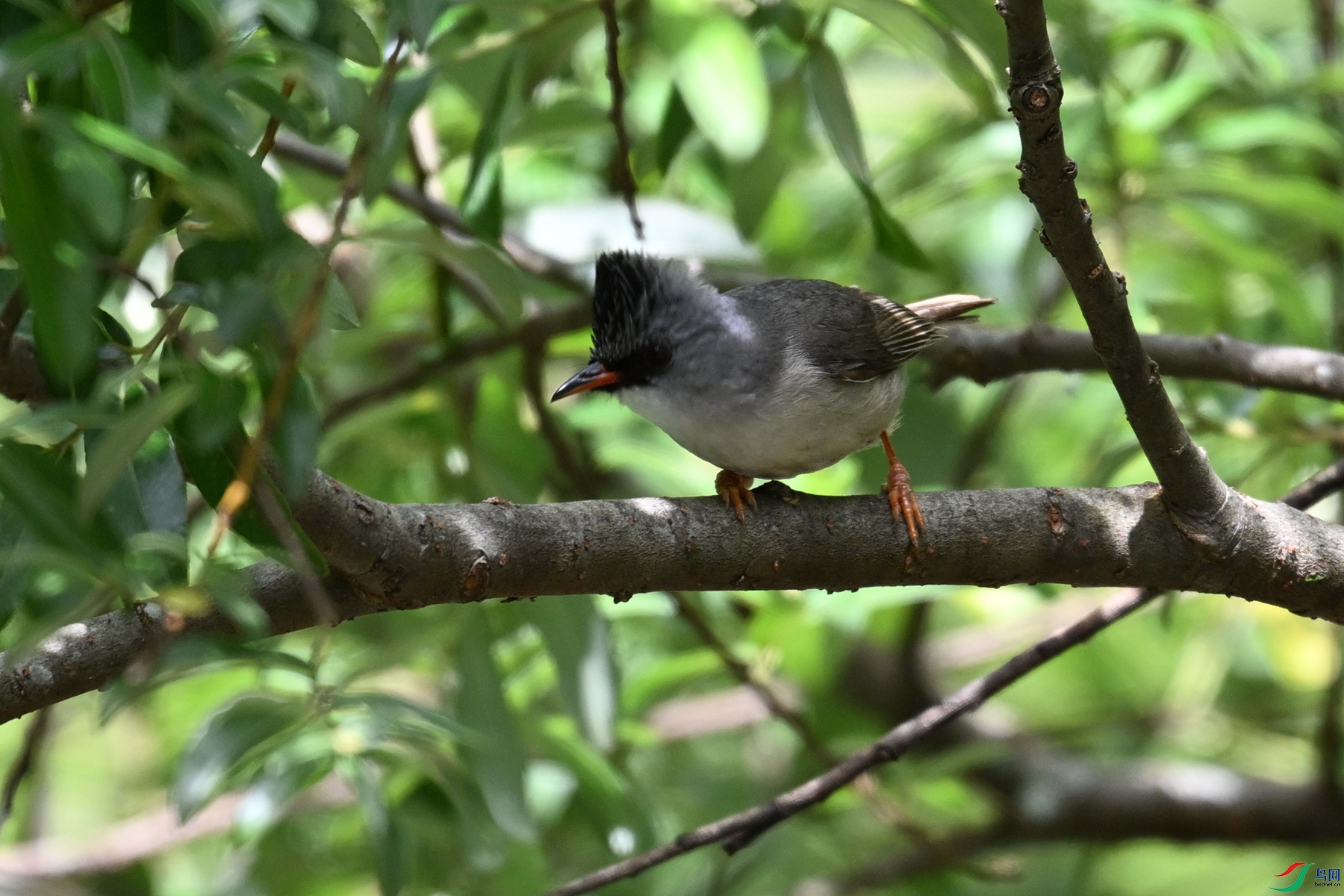 DSC_3343.JPG
