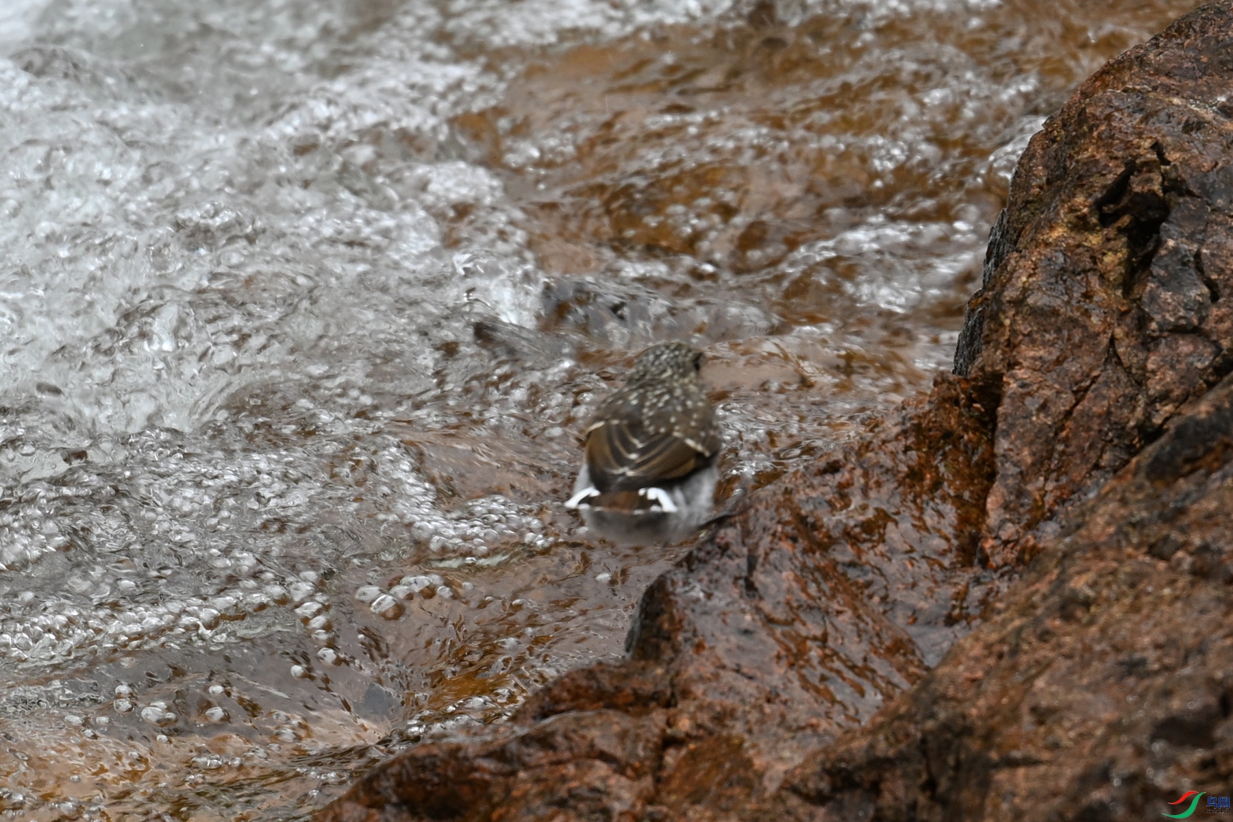 DSC_3265.JPG