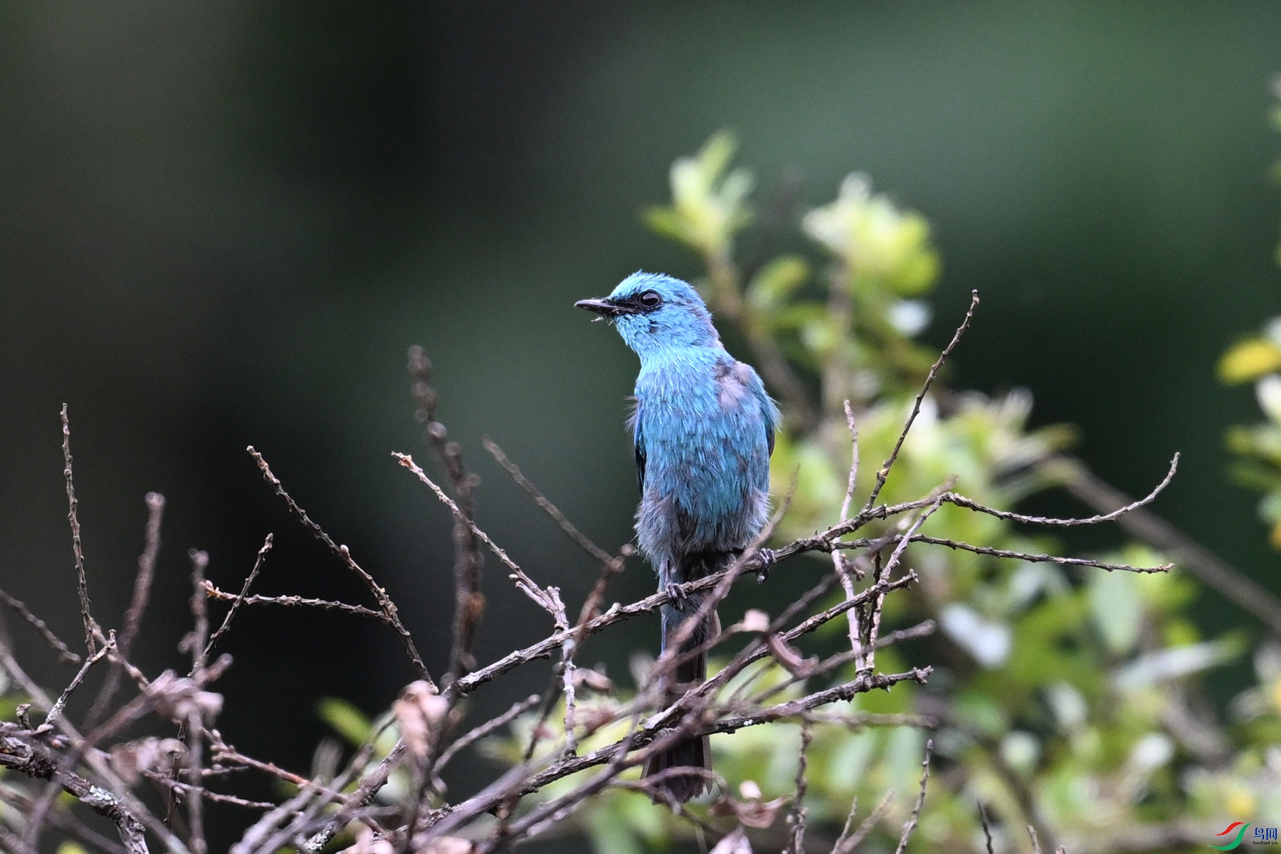 DSC_3383.JPG