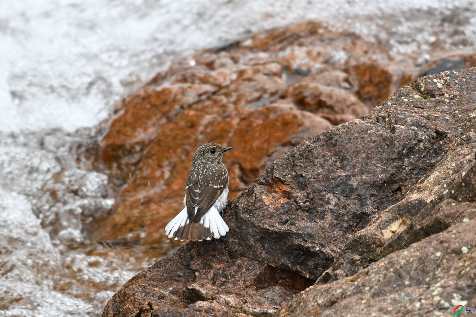 DSC_3267.JPG