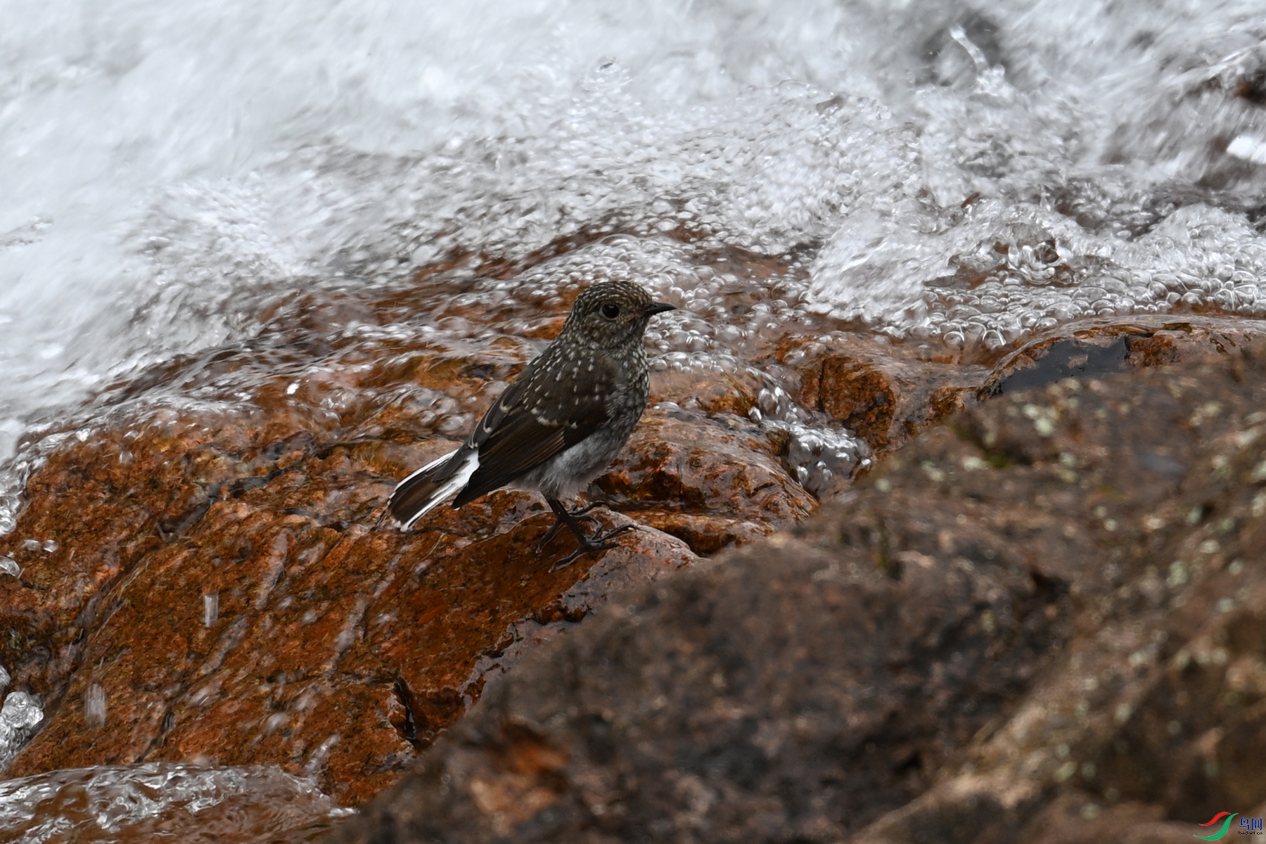 DSC_3271.JPG