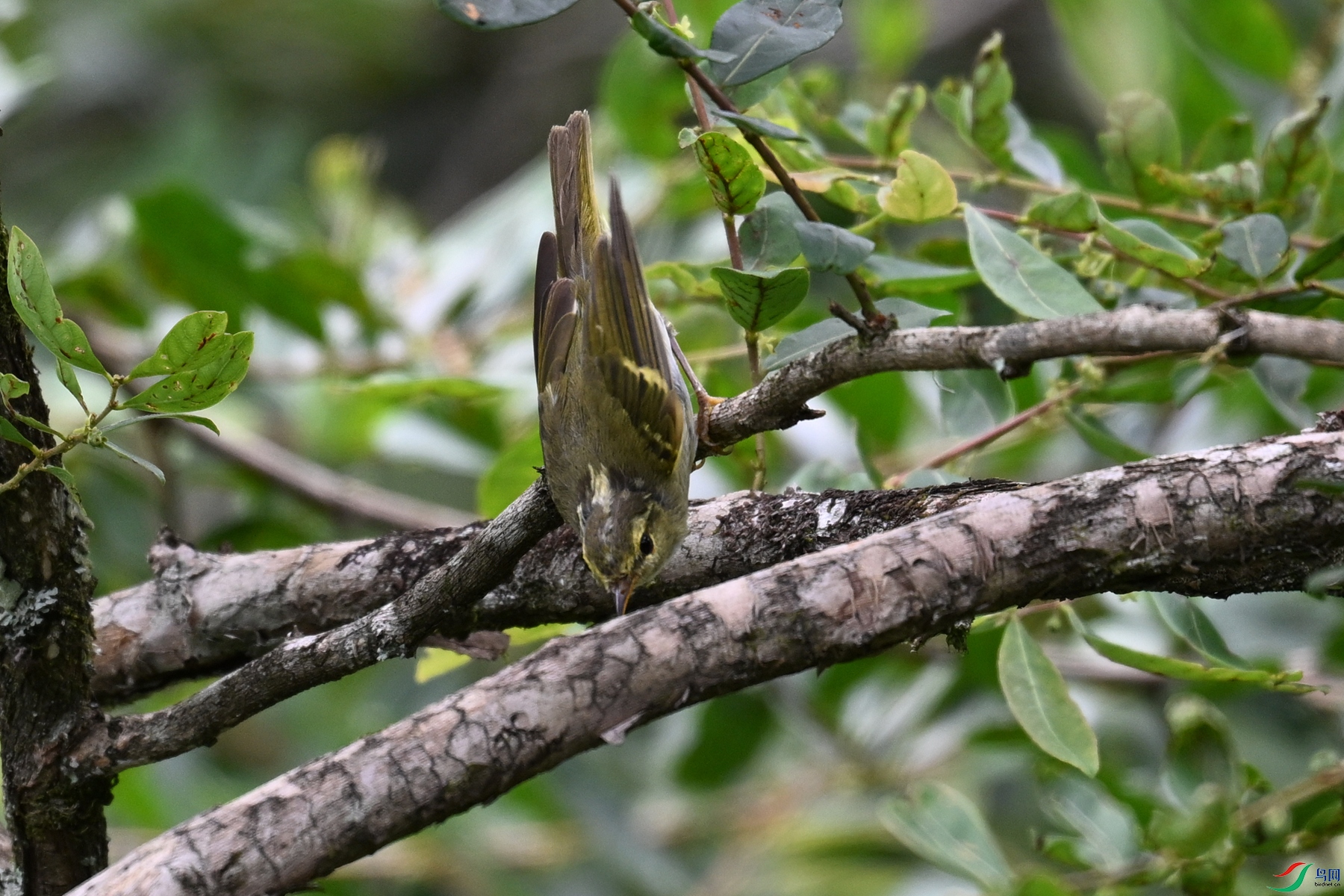 DSC_3323.JPG