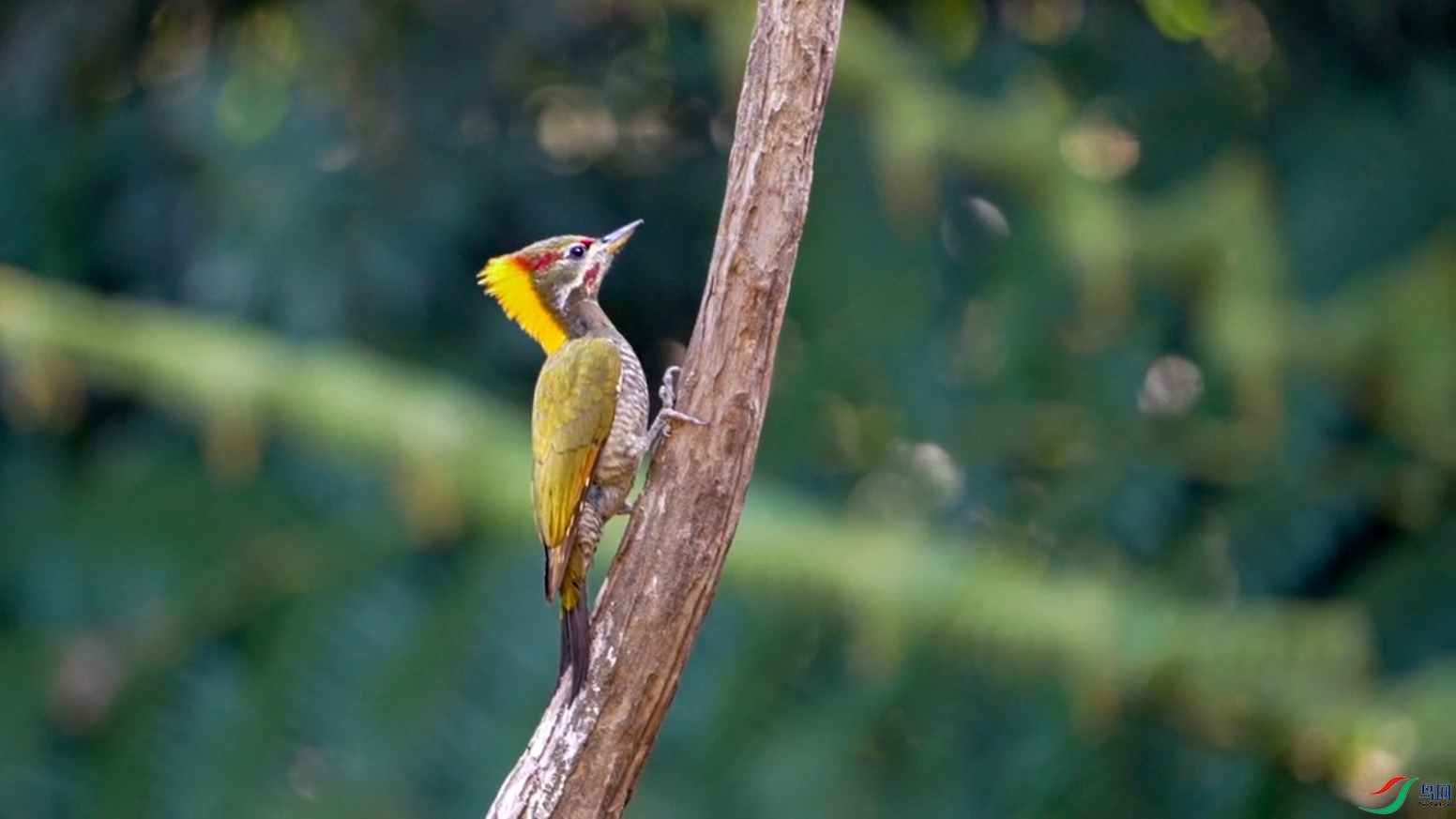 f2508255-9351-471c-a9c7-c84481c0b6fe ����.jpg