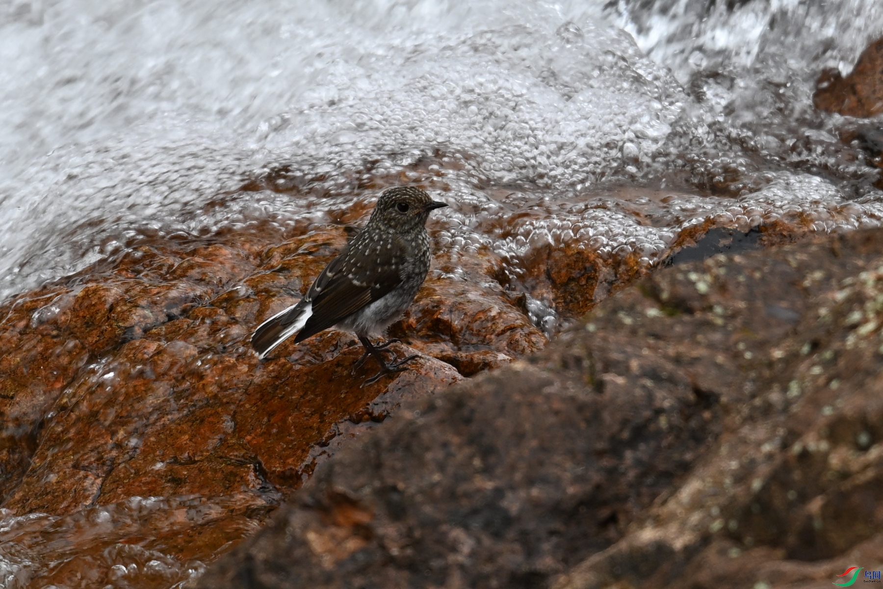 DSC_3274.JPG