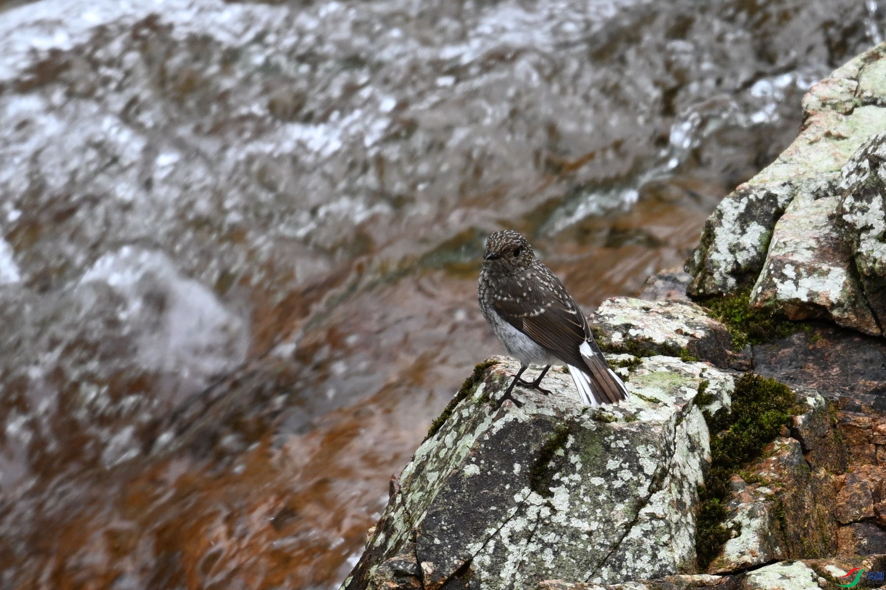 DSC_3278.JPG