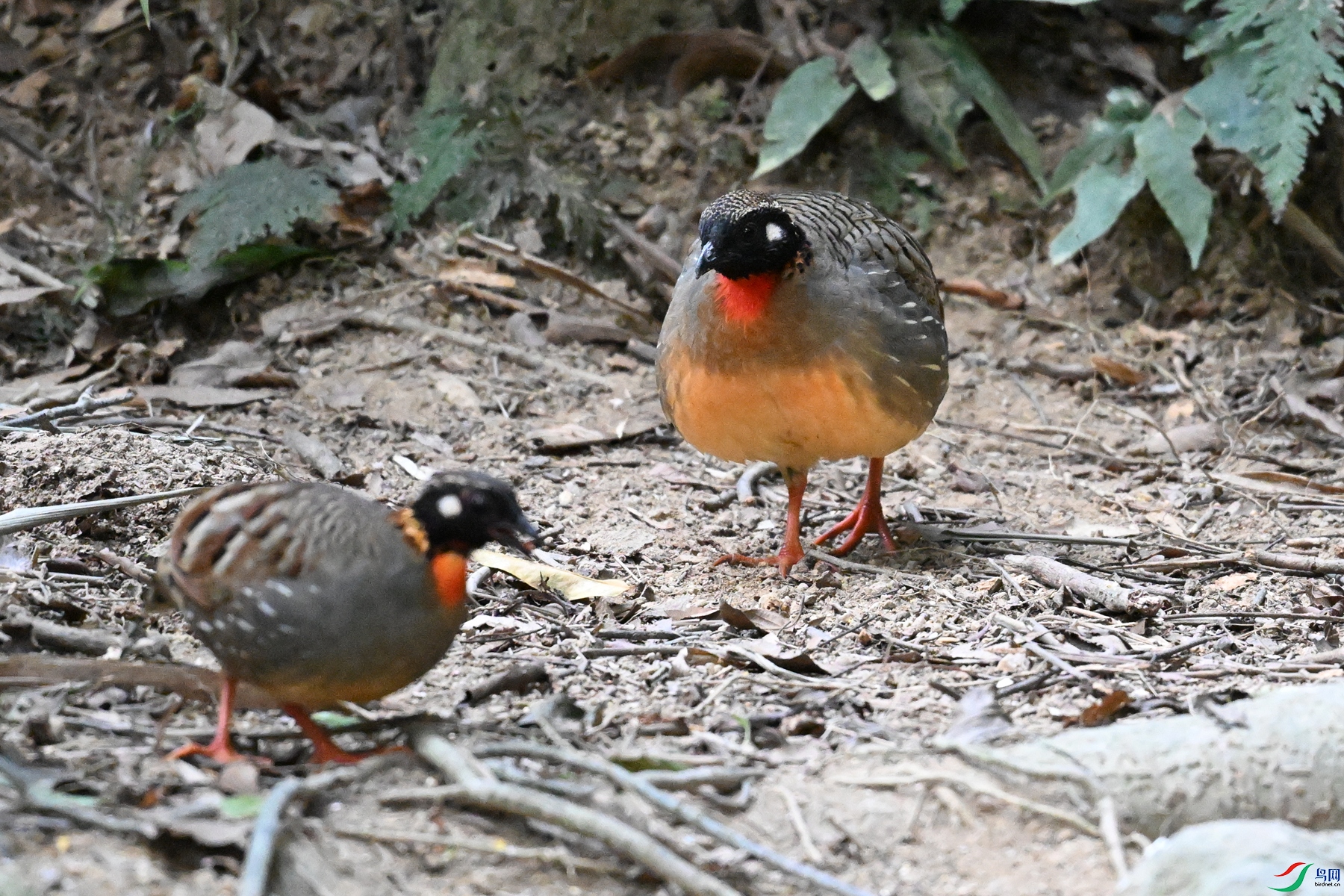DSC_7311.JPG
