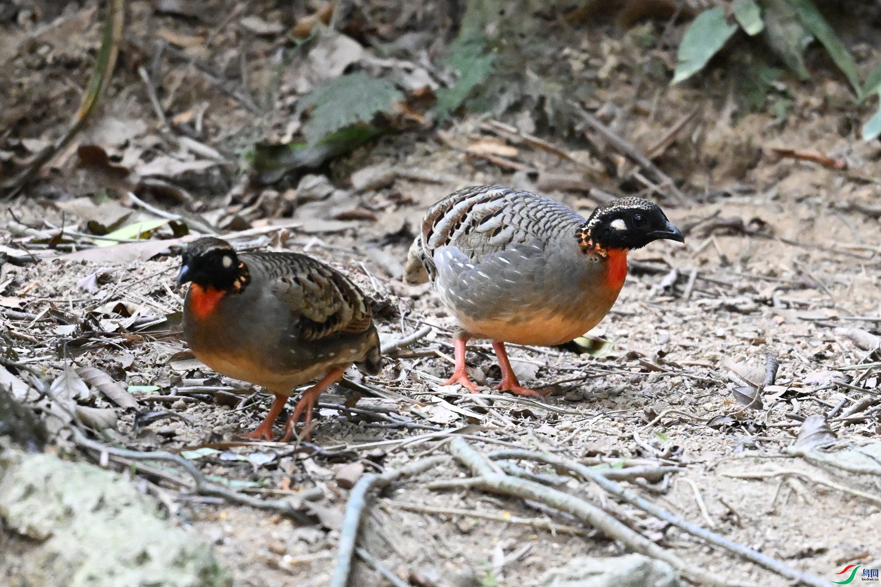 DSC_7358.JPG