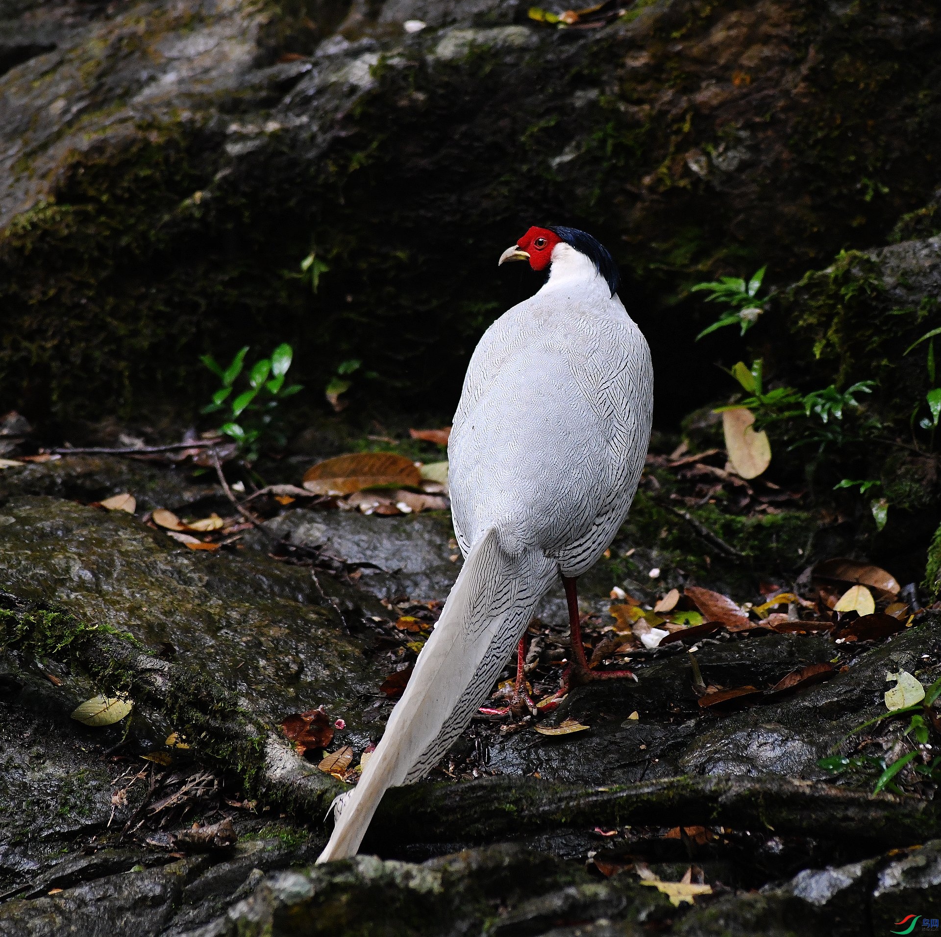 DSC_8469.jpg