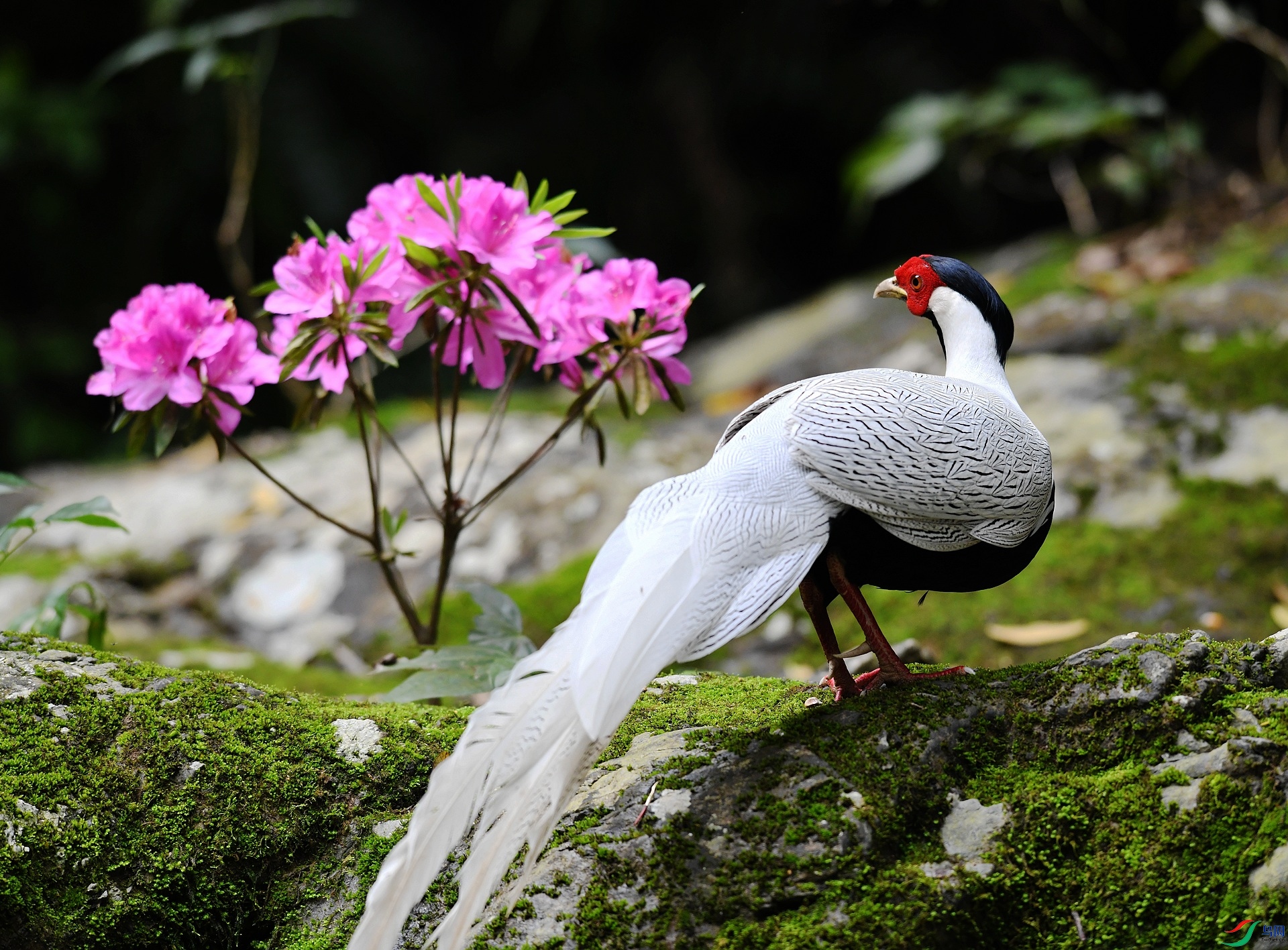 DSC_9583.jpg