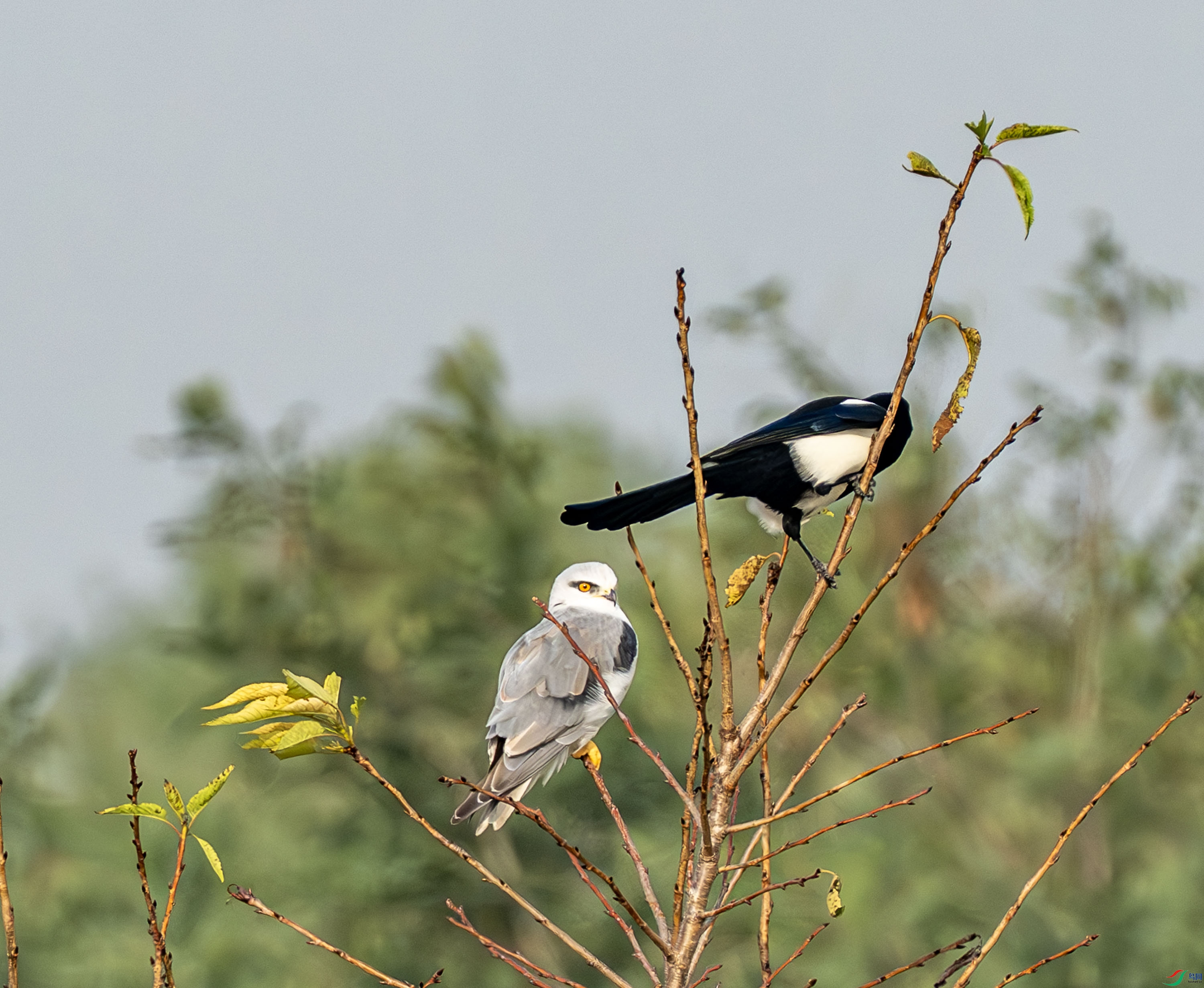 �ڳ��-38.jpg