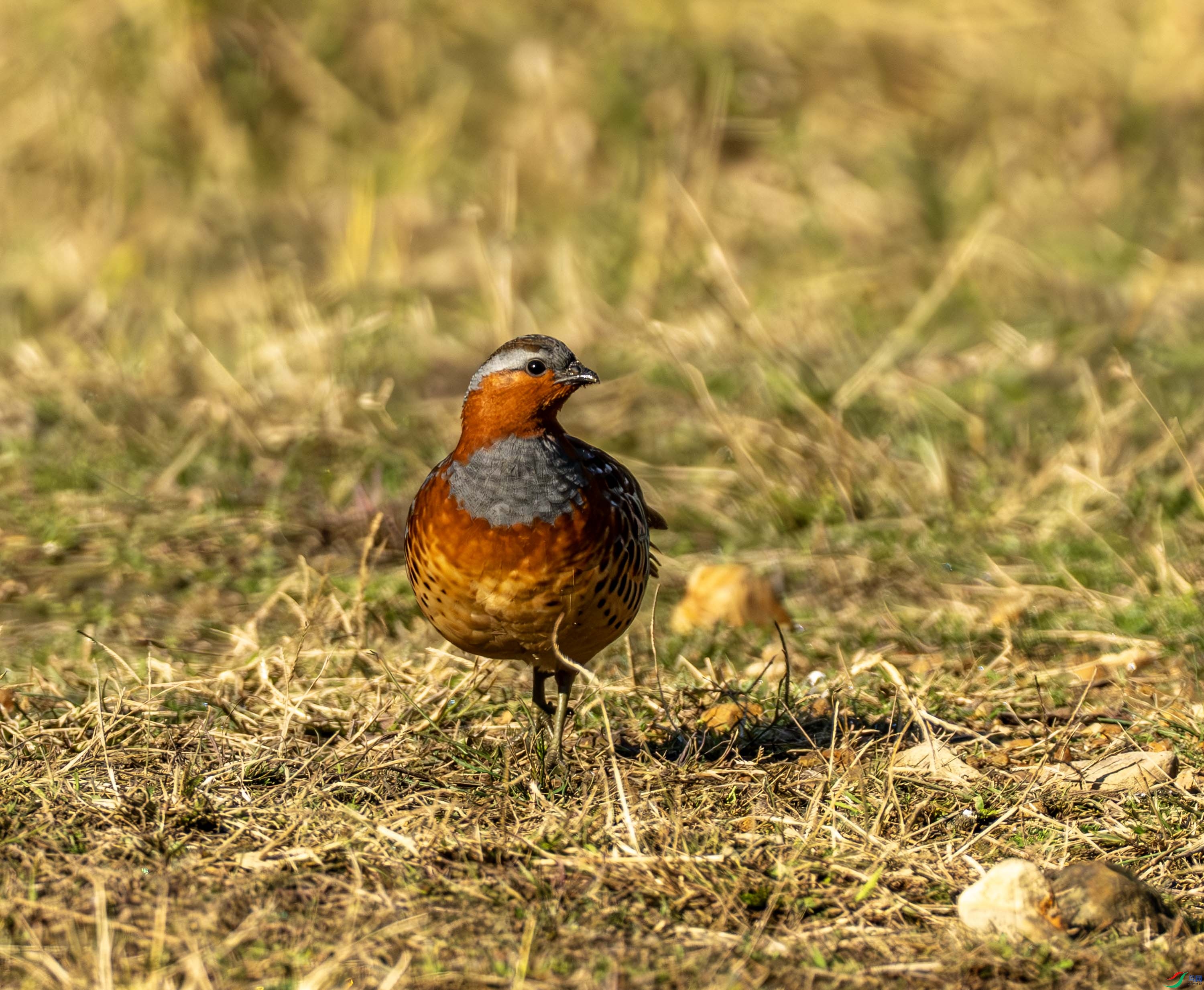 ������-01-8.jpg