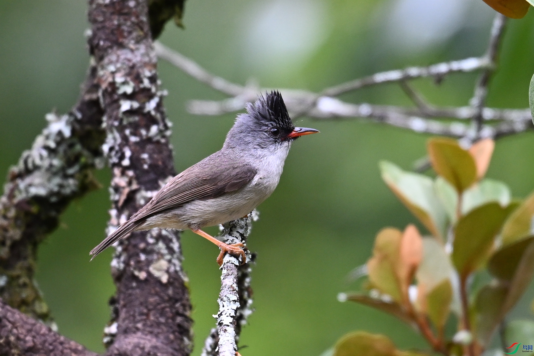 DSC_3282.JPG