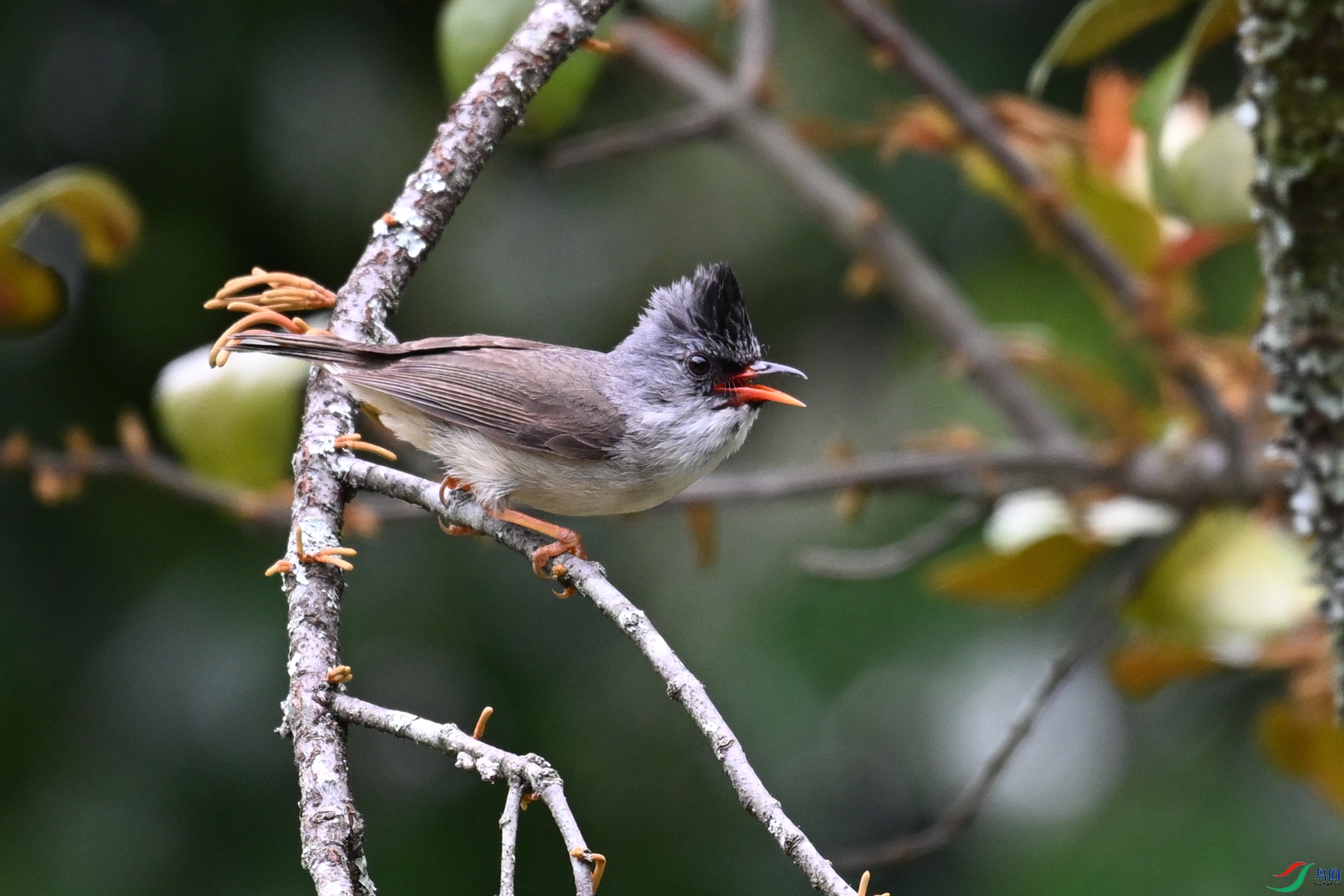 DSC_3287.JPG