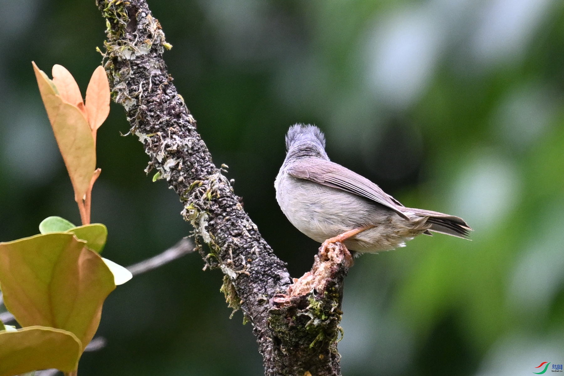 DSC_3291.JPG