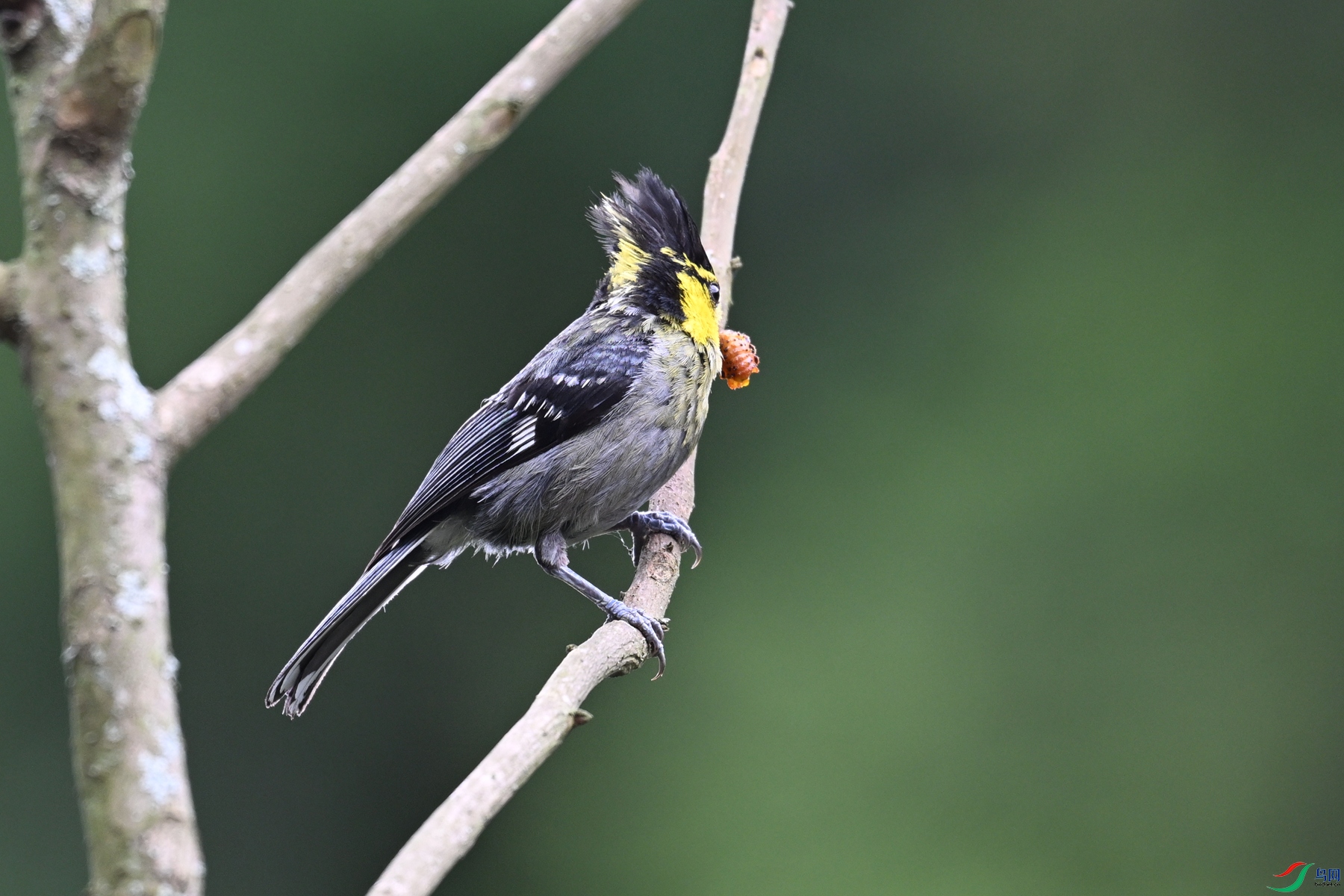 DSC_3374.JPG