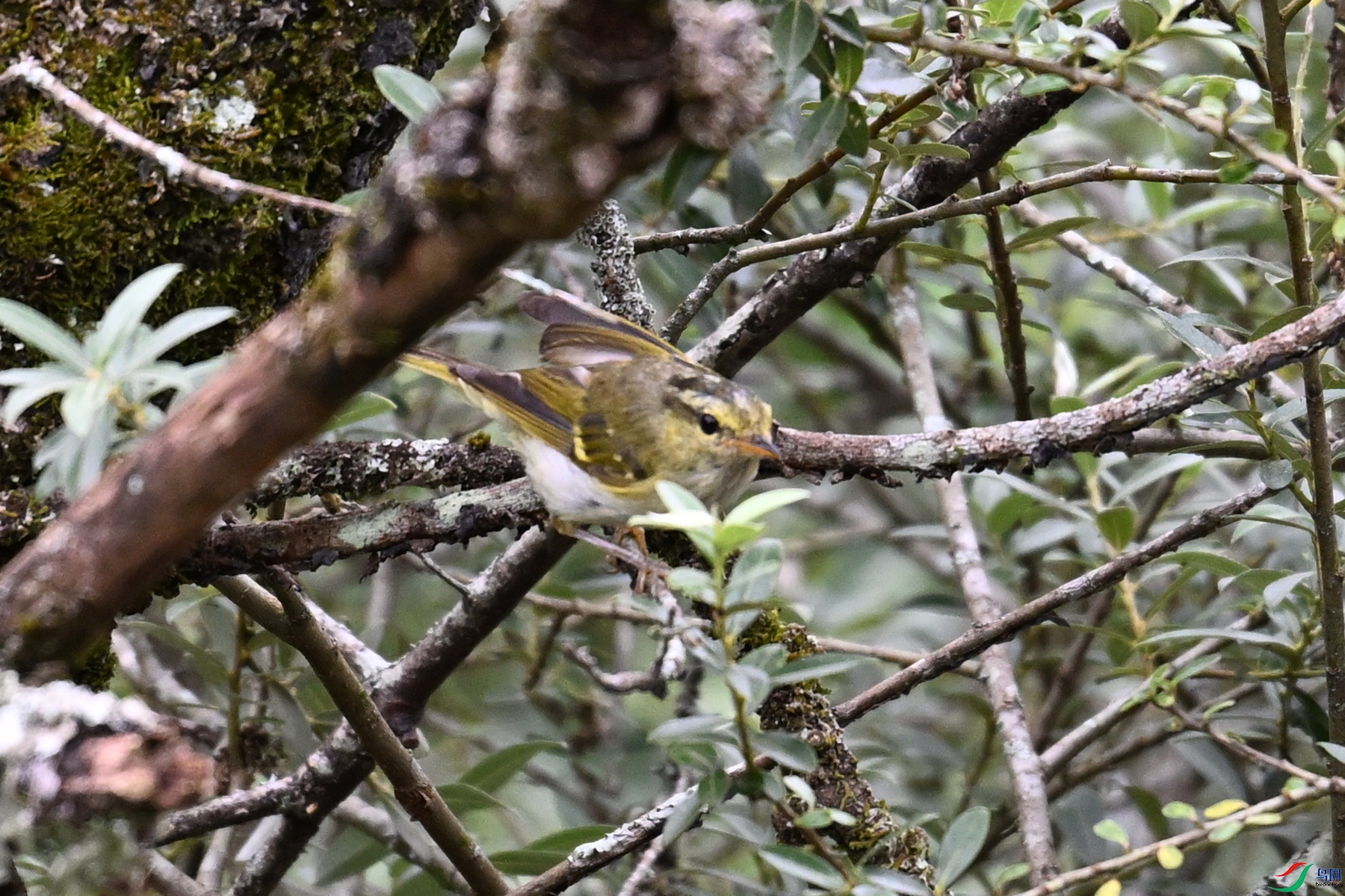 DSC_3409.JPG