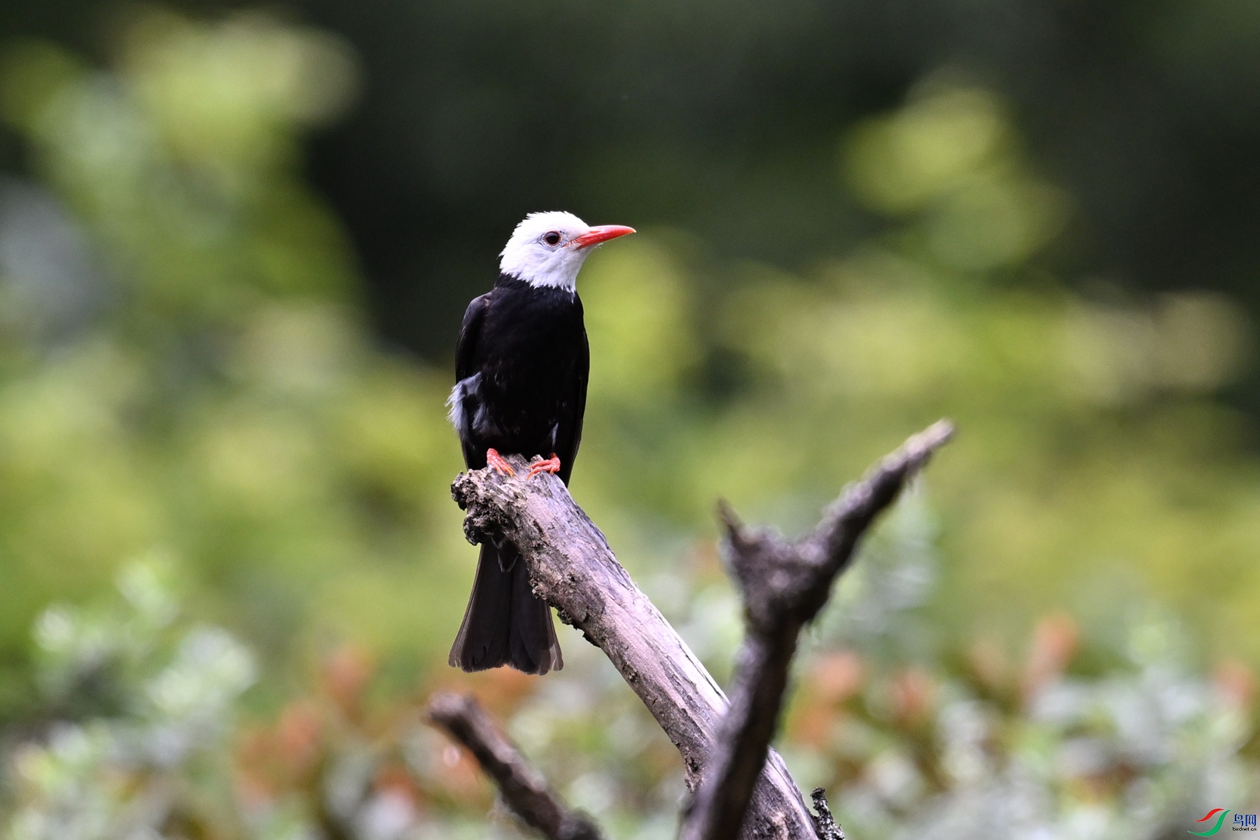 DSC_3395.JPG