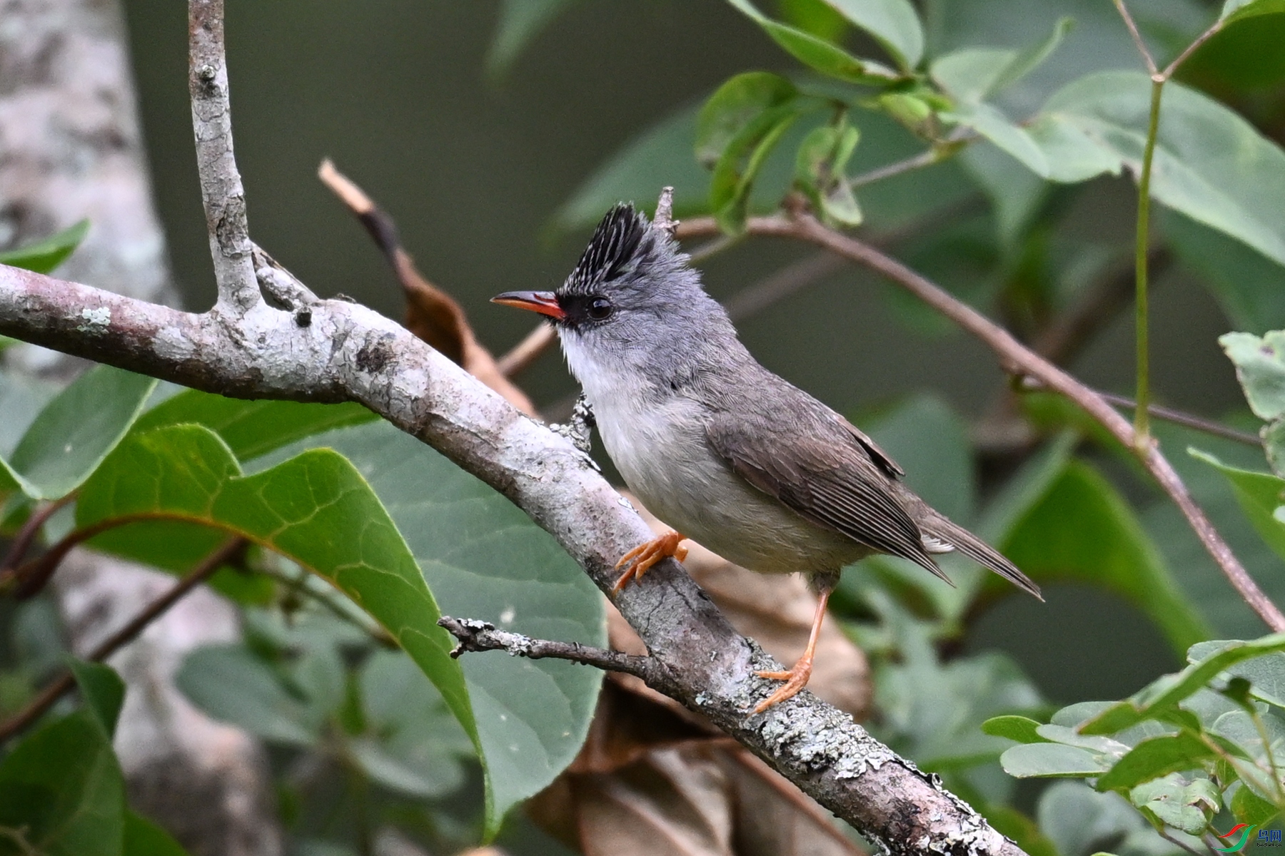 DSC_3417.JPG