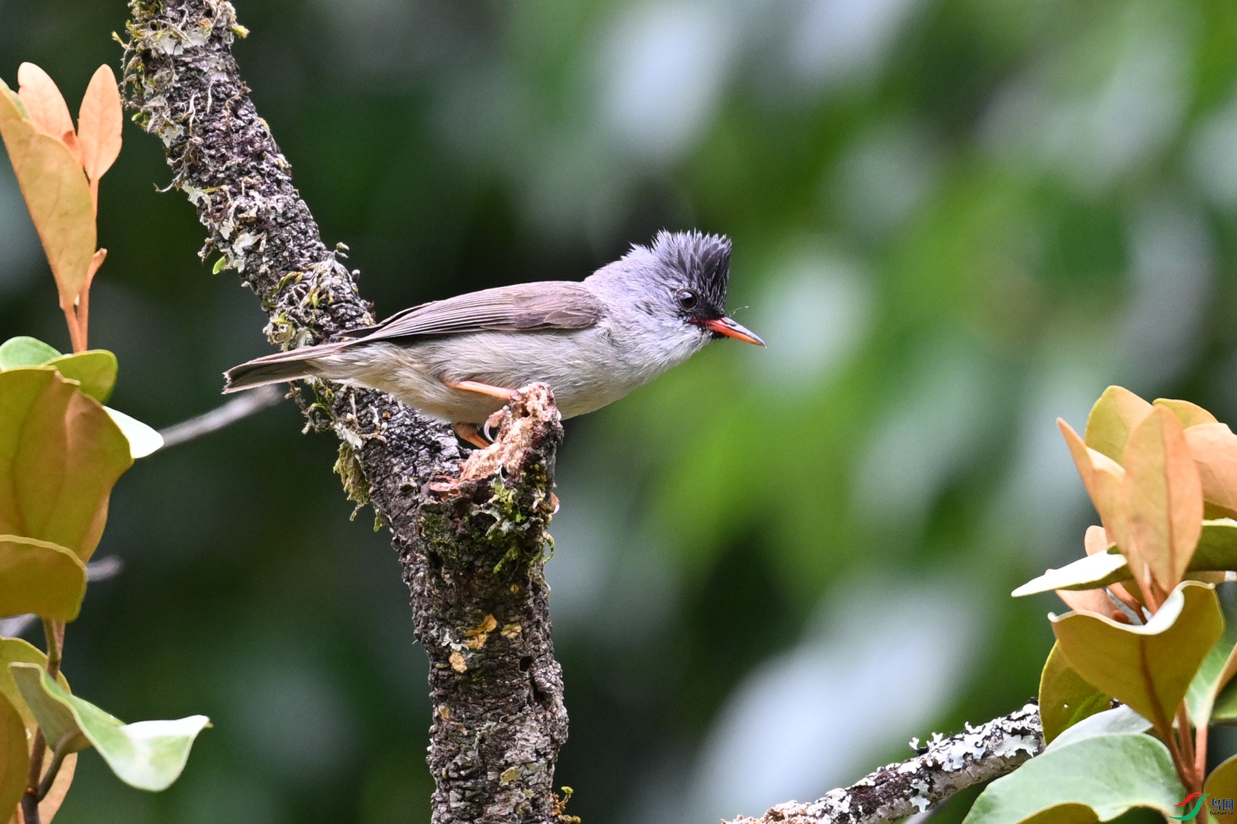 DSC_3298.JPG