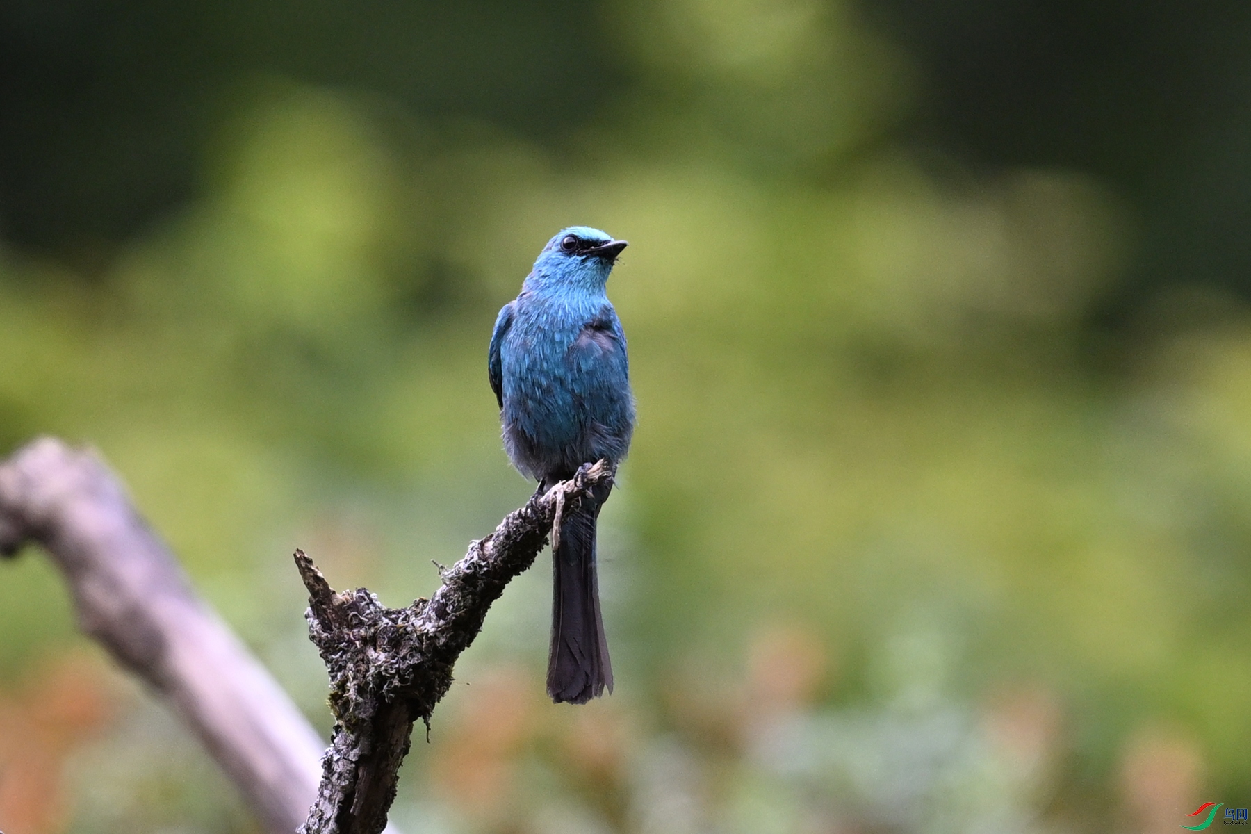 DSC_3384.JPG