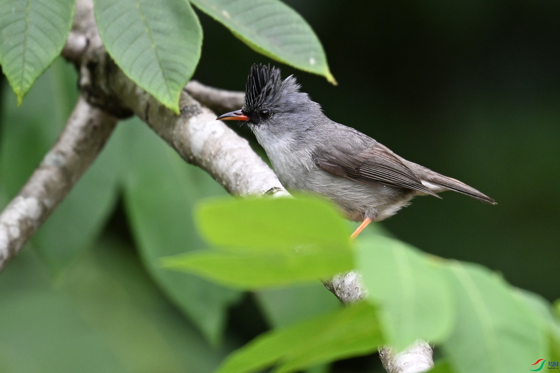 DSC_3302.JPG