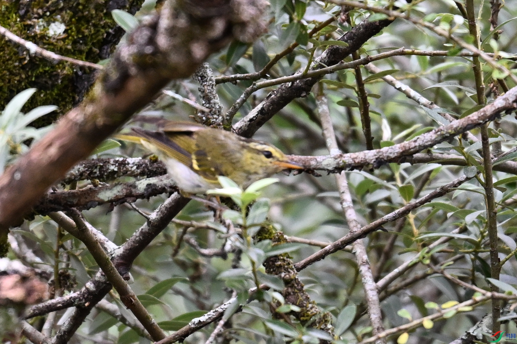 DSC_3410.JPG