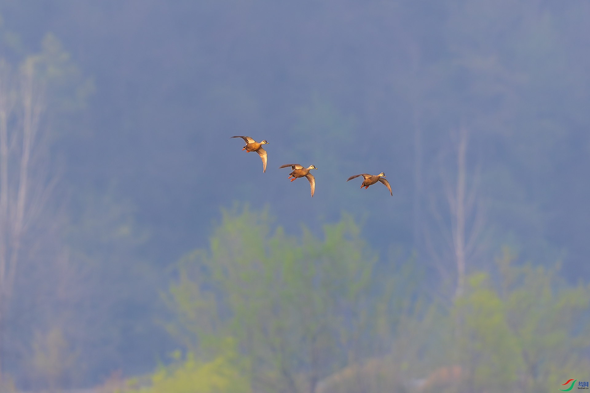 _F9A8033 ����.jpg