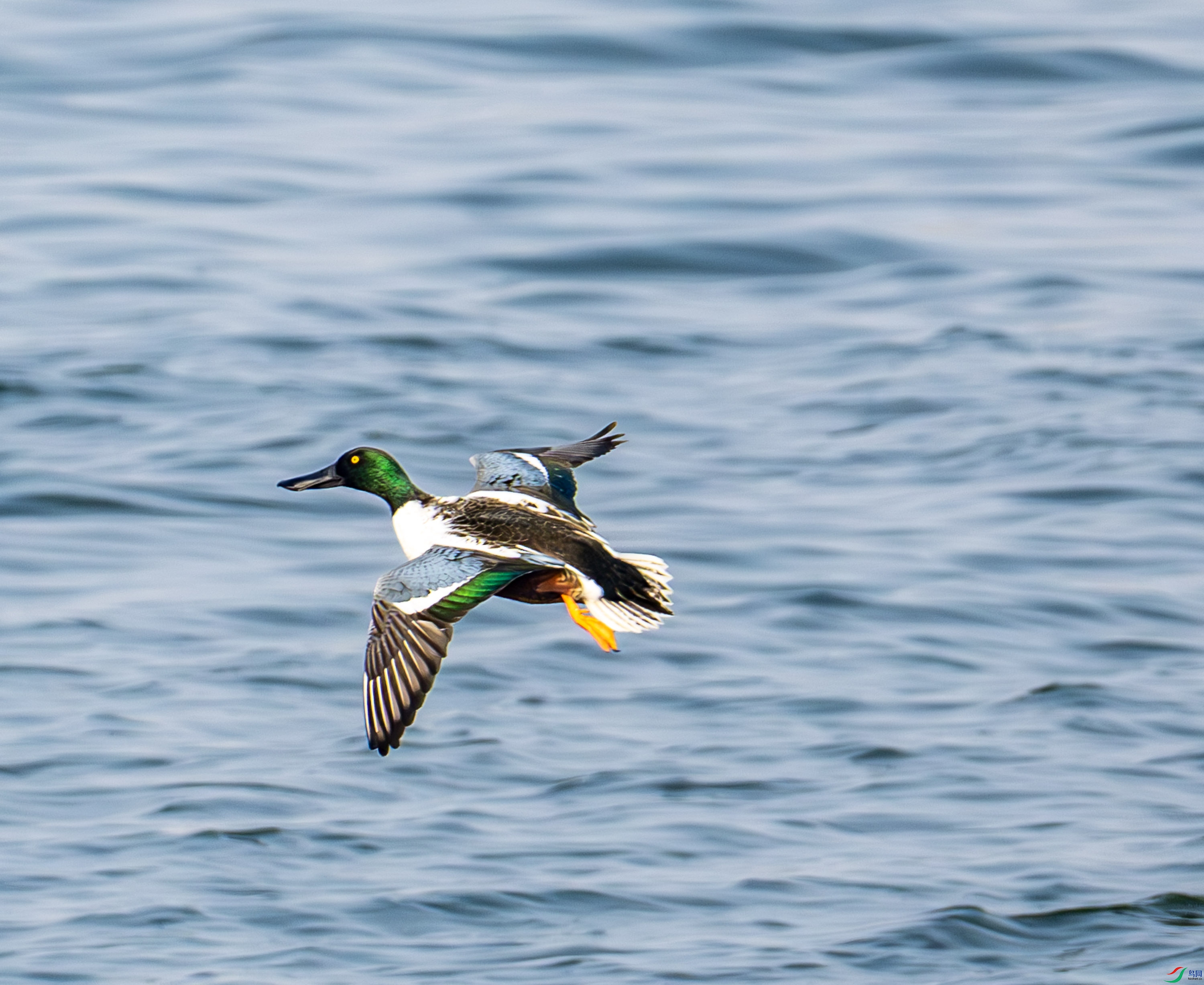 ����Ѽ-03-3 (3).jpg