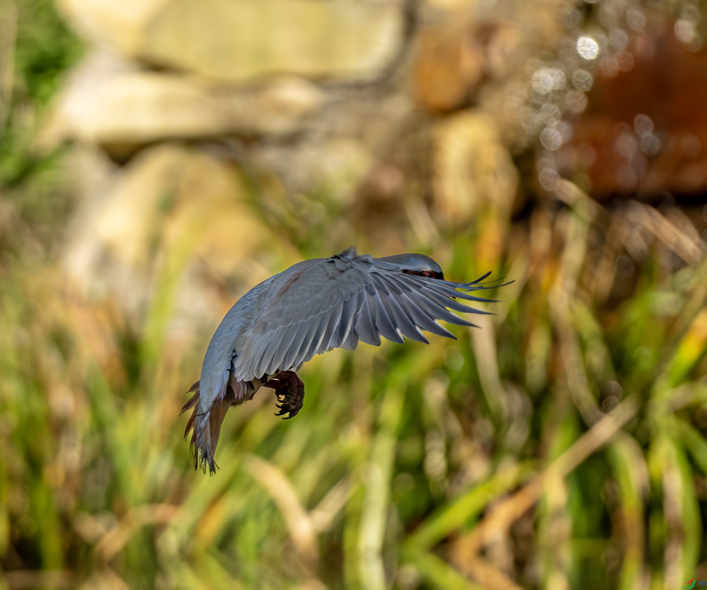 ʯ��-01-6.jpg