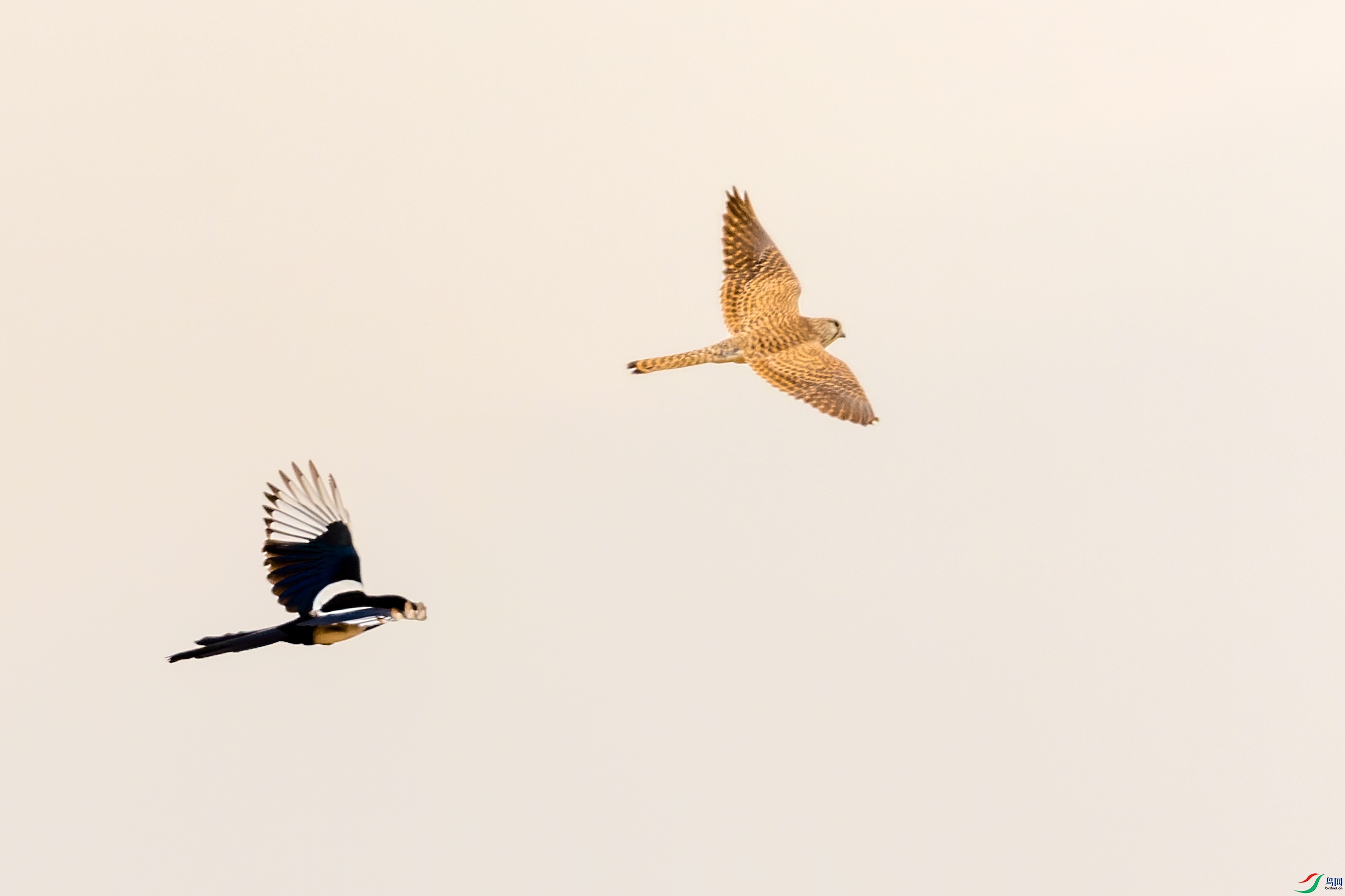 DSC_4290.jpg
