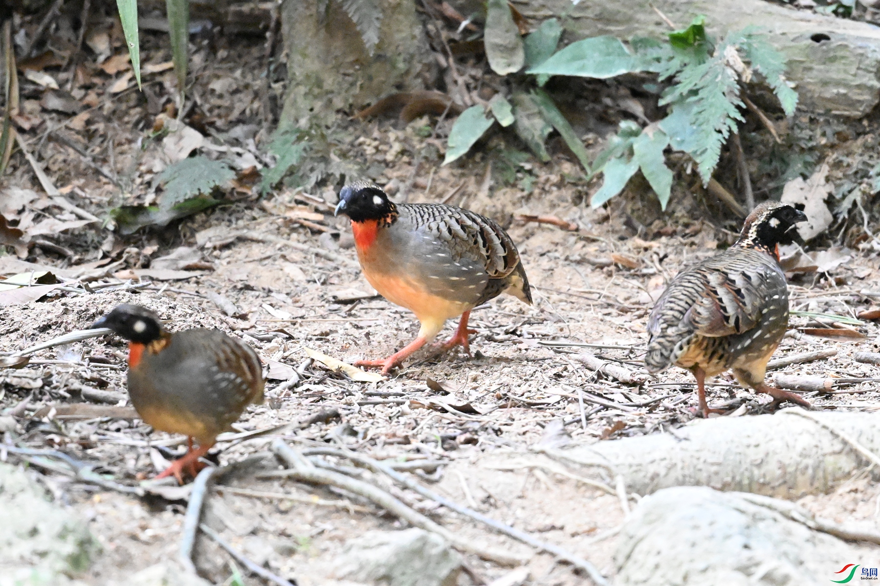 DSC_7324.JPG