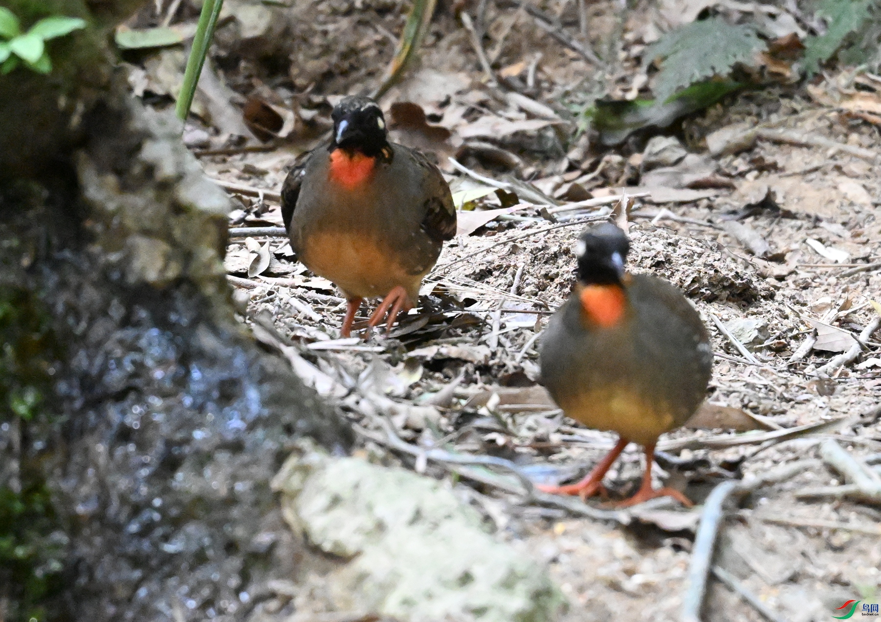 DSC_7328.JPG