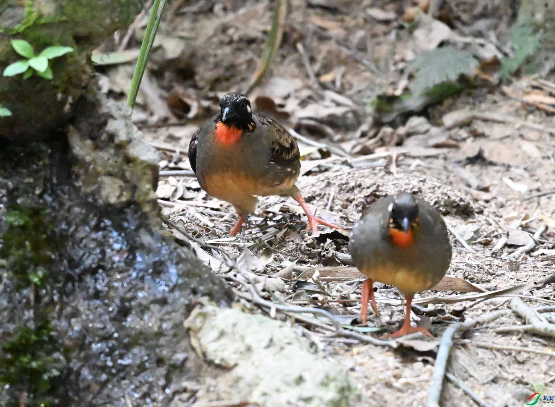 DSC_7331.JPG