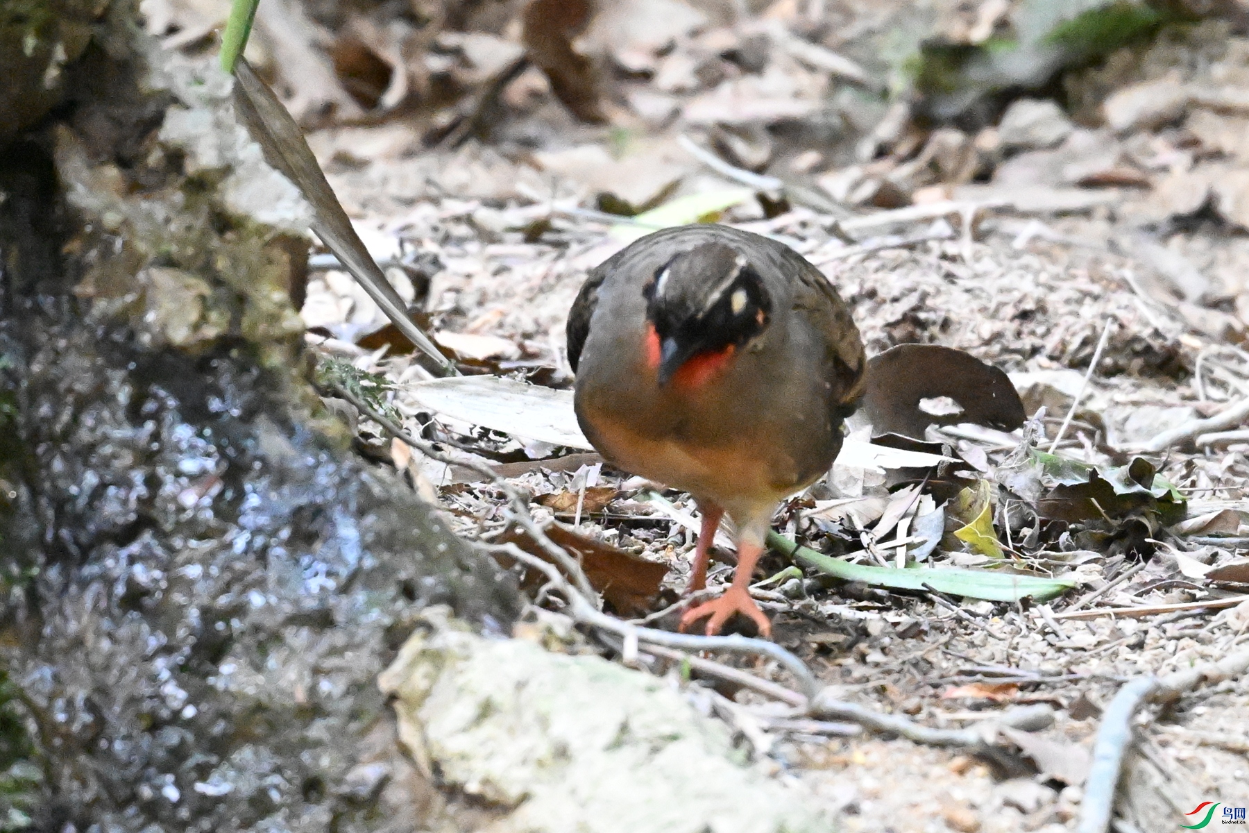 DSC_7374.JPG