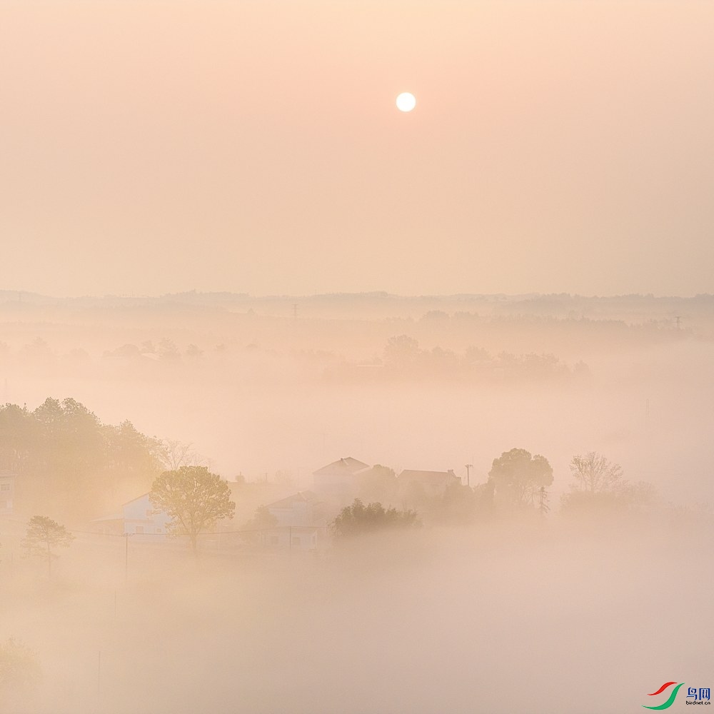 DJI_20260401063115_0163_D.jpgb.jpg