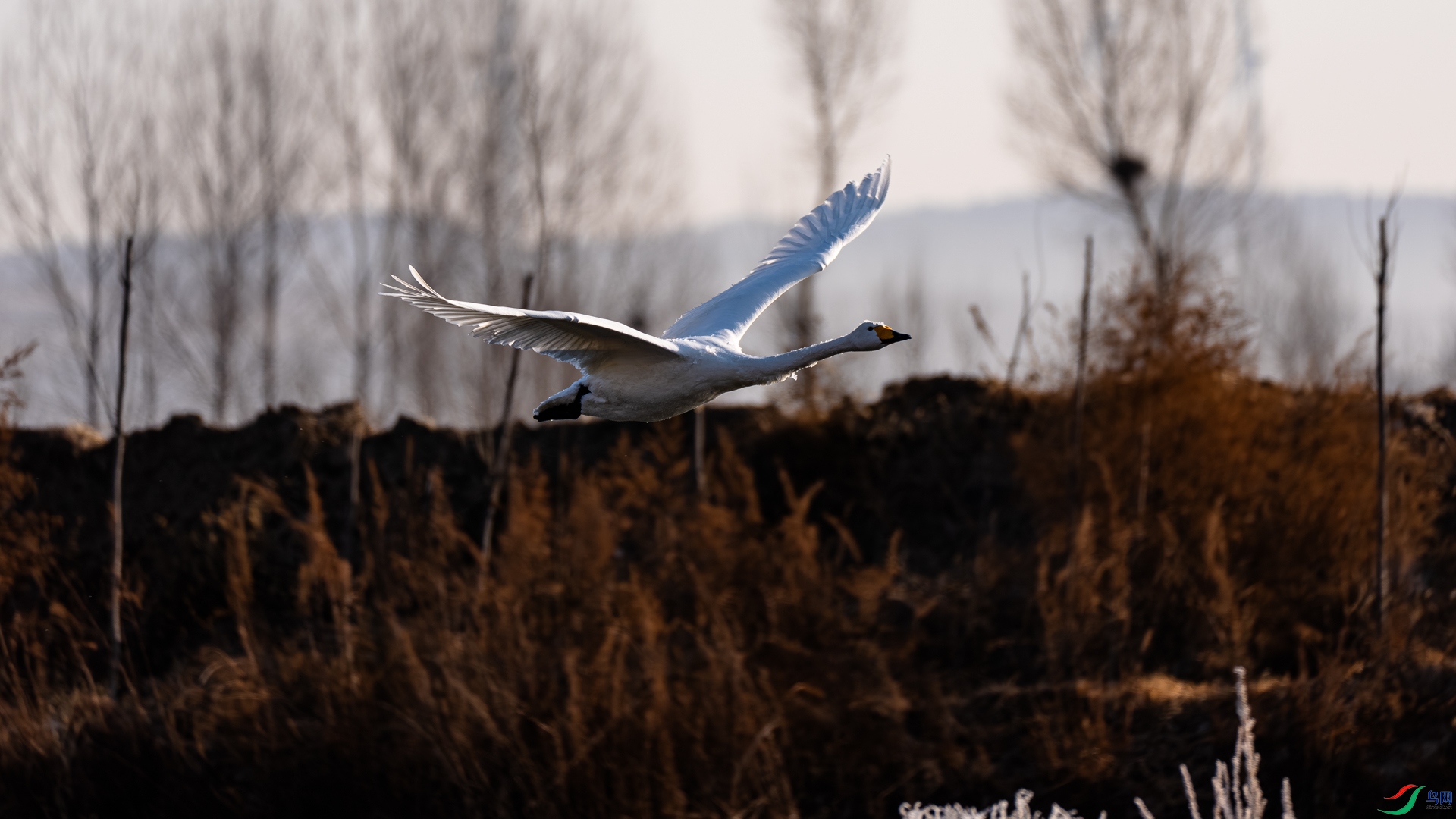 _DSC6535.jpg