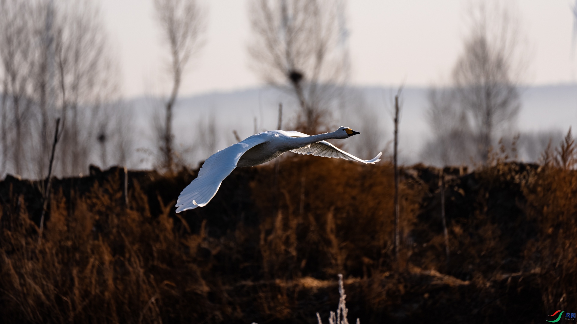 _DSC6538.jpg