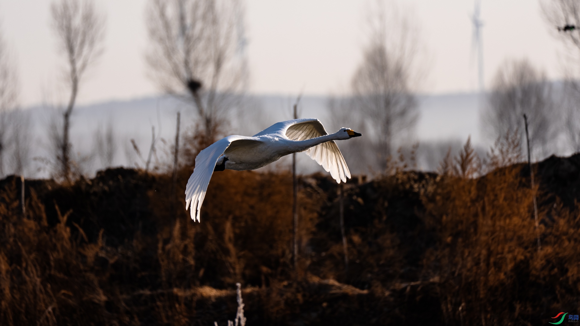 _DSC6540.jpg