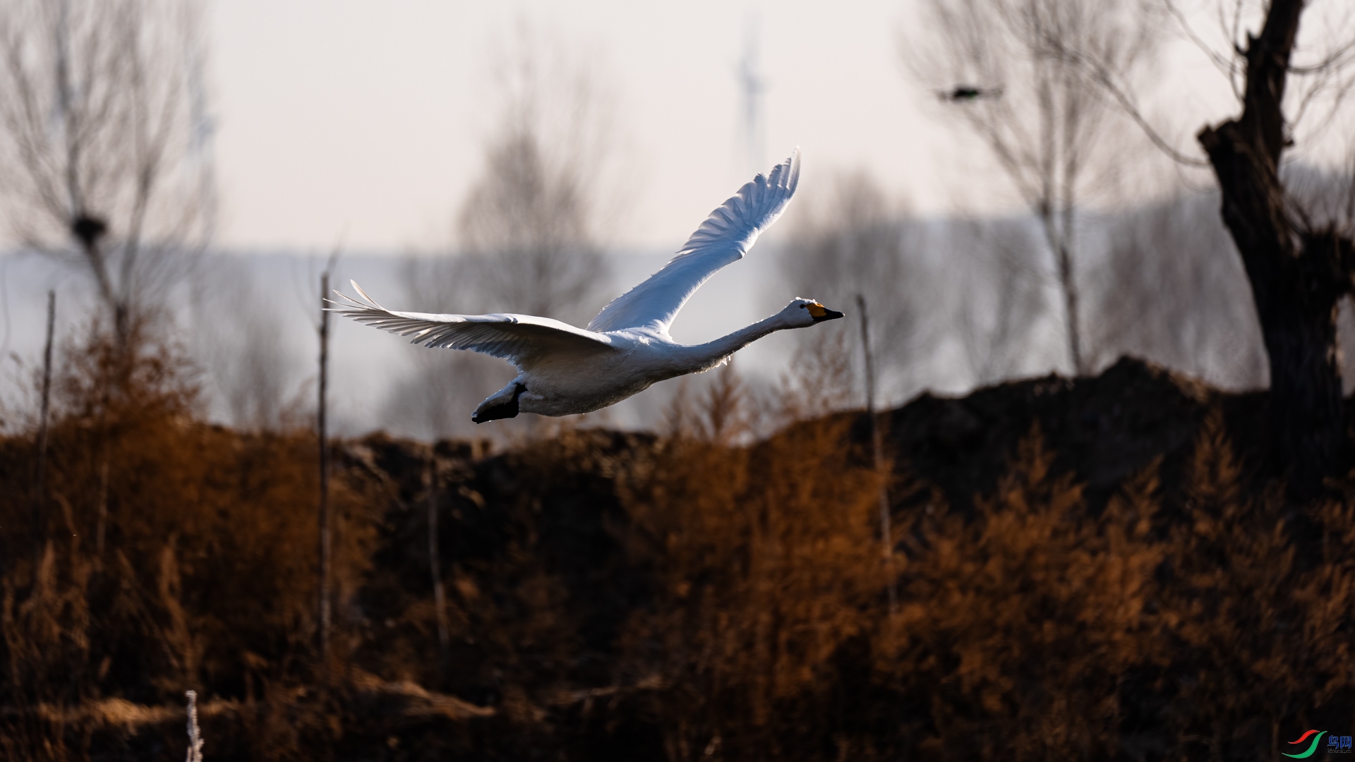 _DSC6543.jpg