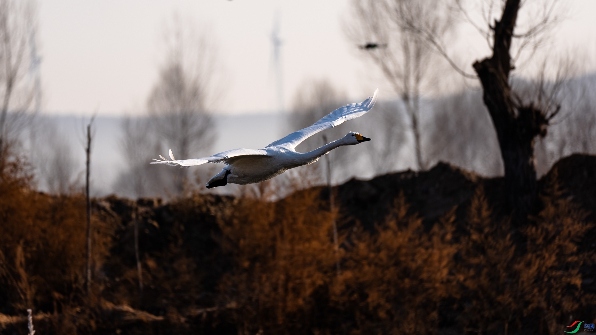 _DSC6544.jpg