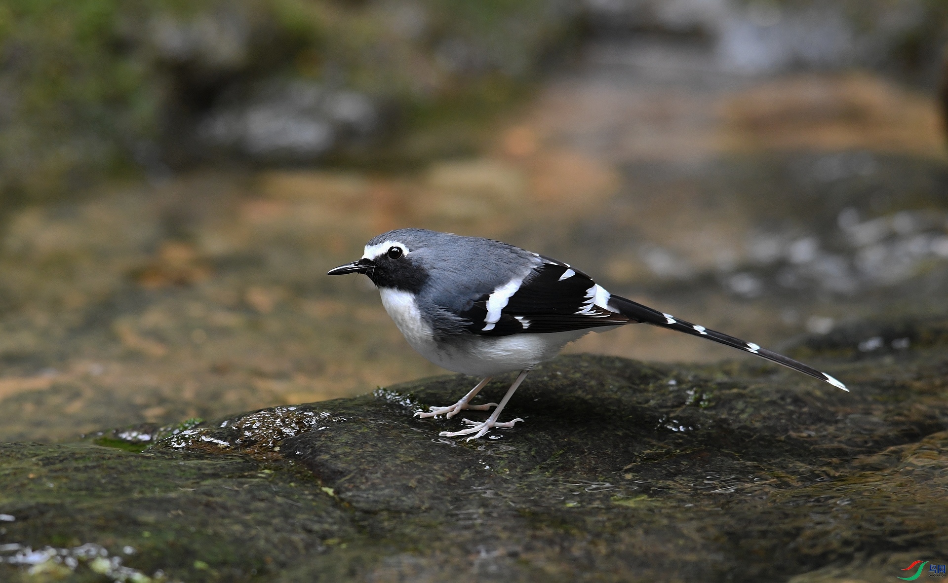 DSC_9635.jpg