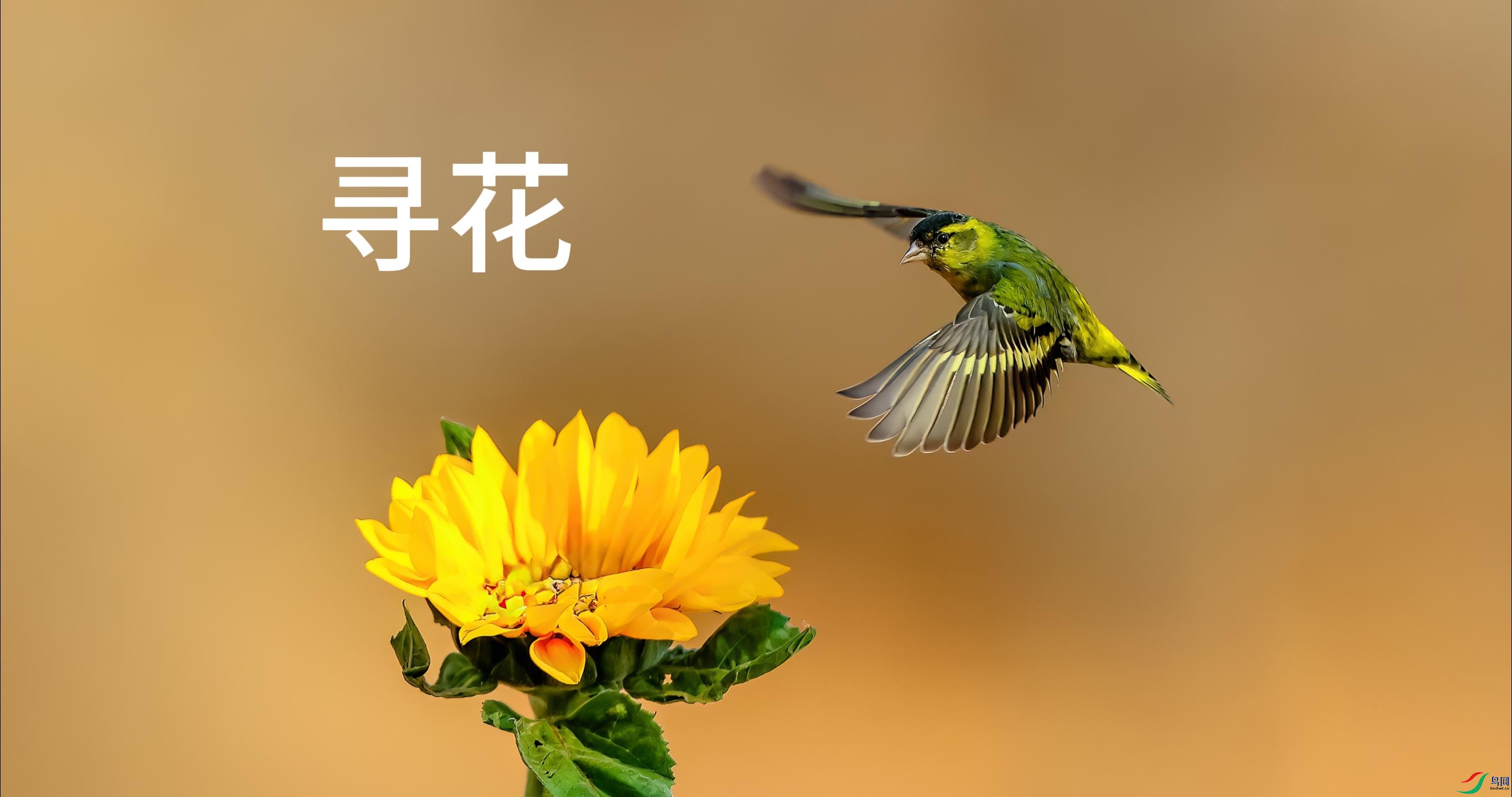 4��1�� (1)(1)-����.jpg